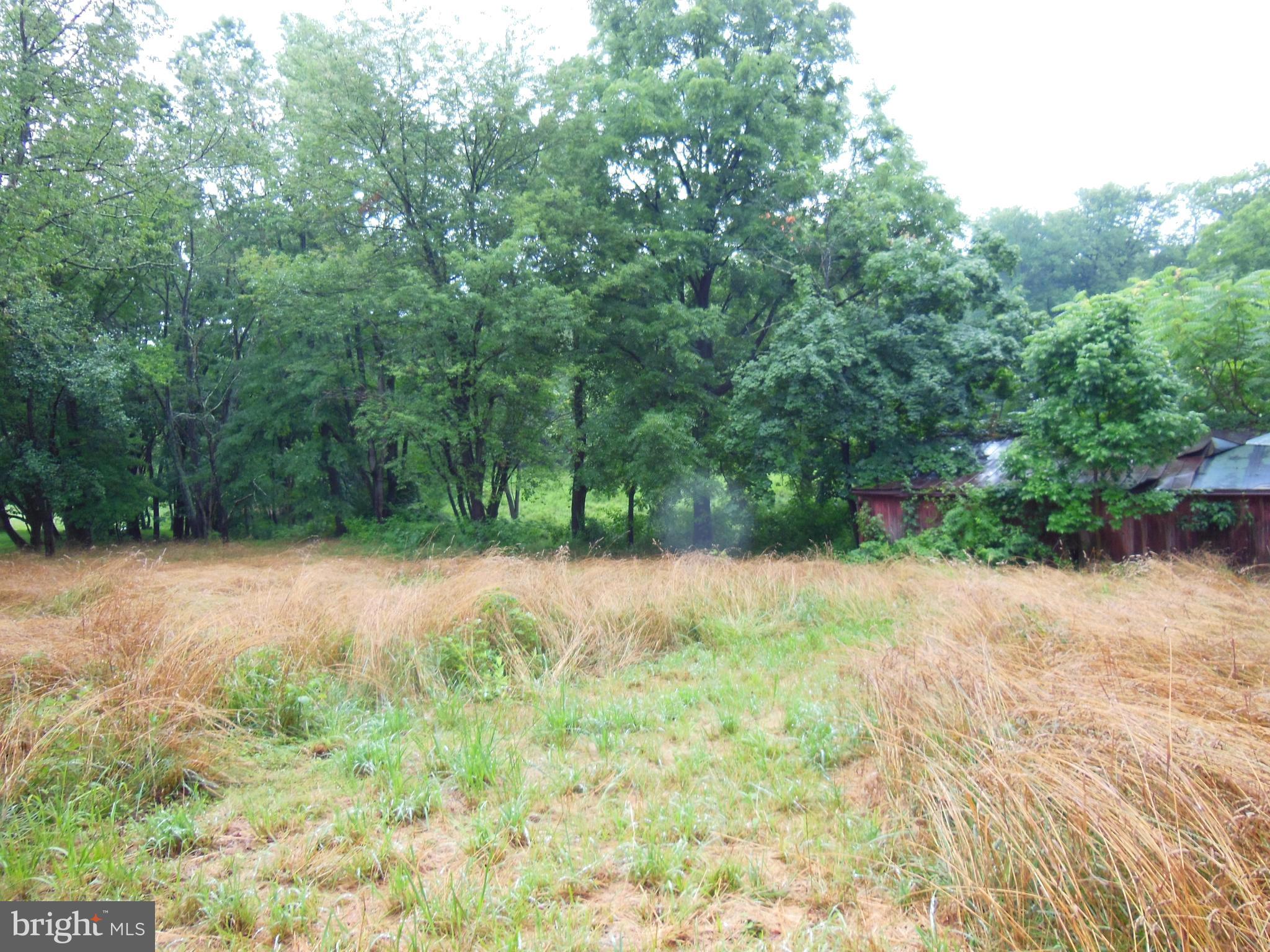 12955 Hessong Bridge Road Thurmont, MD 21788 - Photo 4 of 7 Pasture