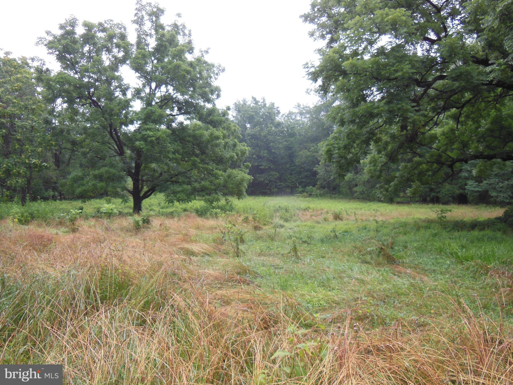12955 Hessong Bridge Road Thurmont, MD 21788 - Photo 5 of 7 Pasture