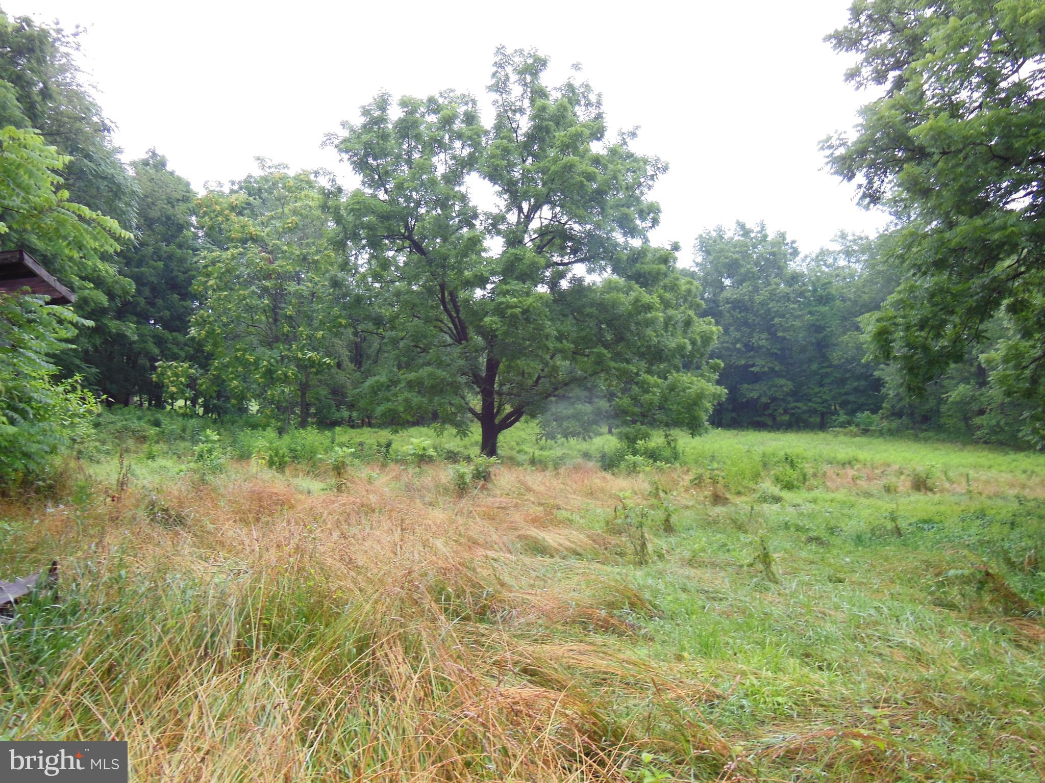 12955 Hessong Bridge Road Thurmont, MD 21788 - Photo 6 of 7 Pasture