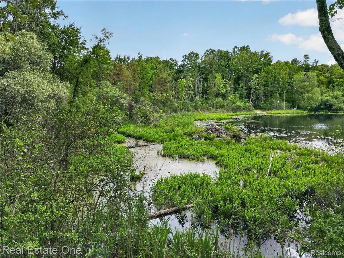 425 Courtney Road Leonard, MI 48367 - Photo 83 of 89 083-2026.06.18_SFodor_Courtney_535.jpg