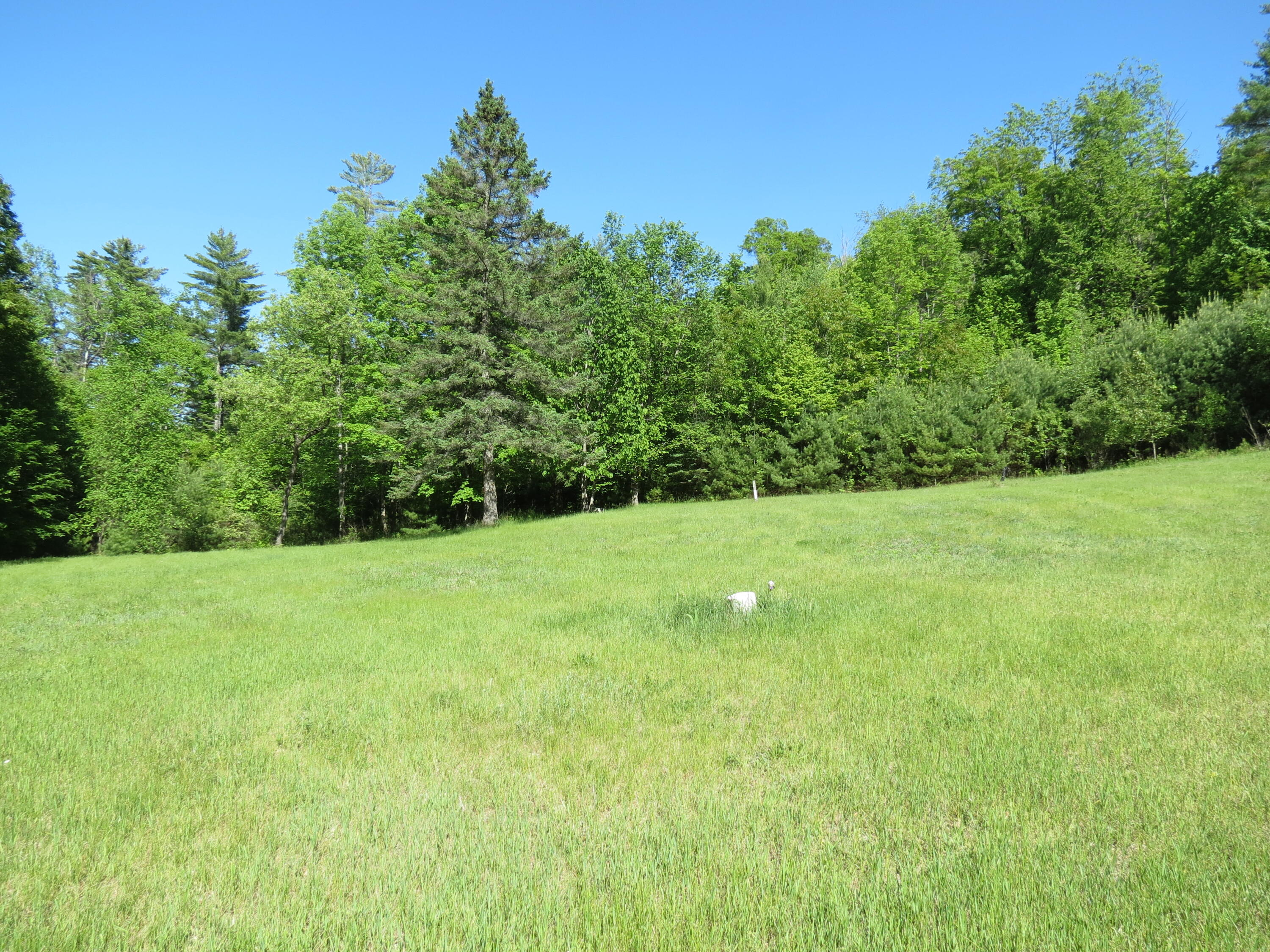 555 Dugway Road Keeseville, NY 12944 - Photo 6 of 6