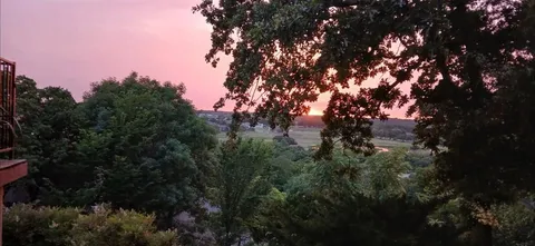 a view of a tree in a yard