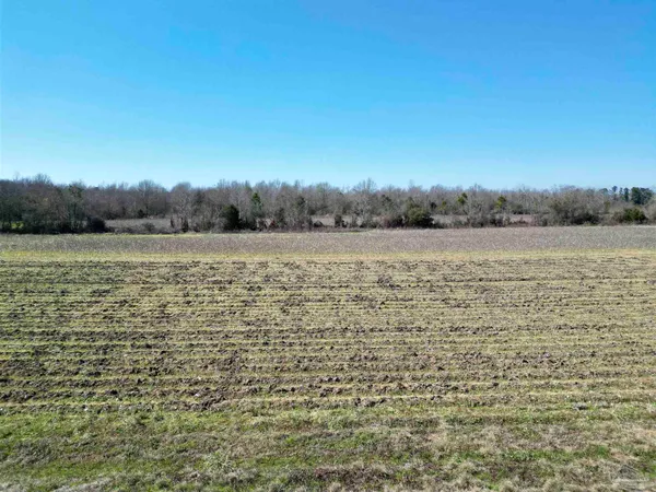$40,000 | 2 Cowpen Creek Road, Atmore, AL 36502