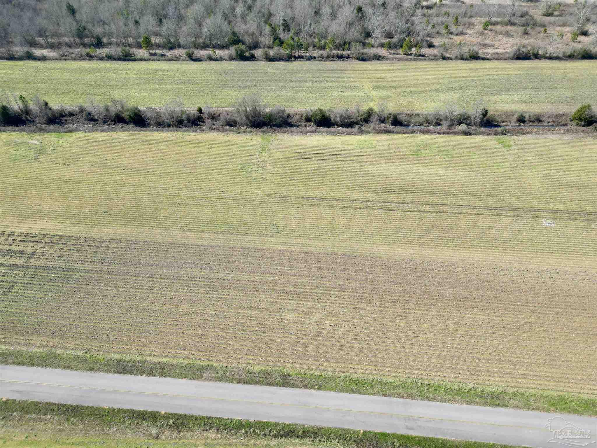 2 Cowpen Creek Road Atmore, AL 36502 - Photo 11 of 14