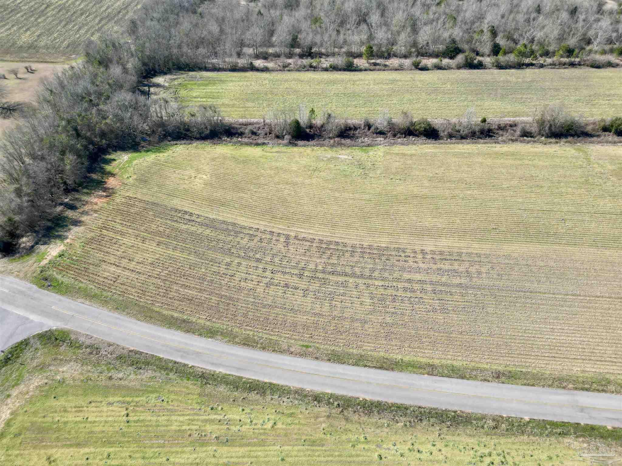 2 Cowpen Creek Road Atmore, AL 36502 - Photo 12 of 14