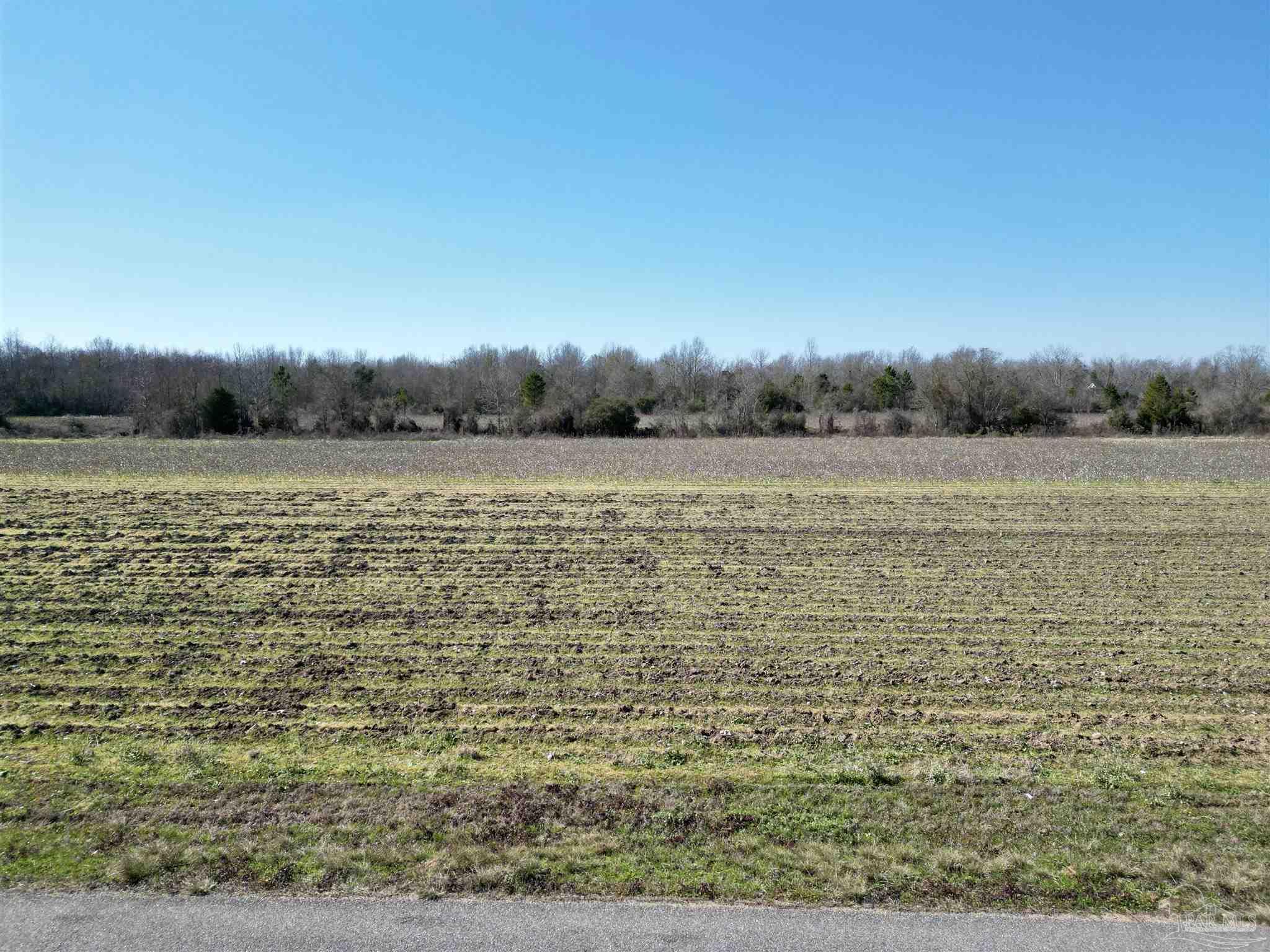 2 Cowpen Creek Road Atmore, AL 36502 - Photo 7 of 14