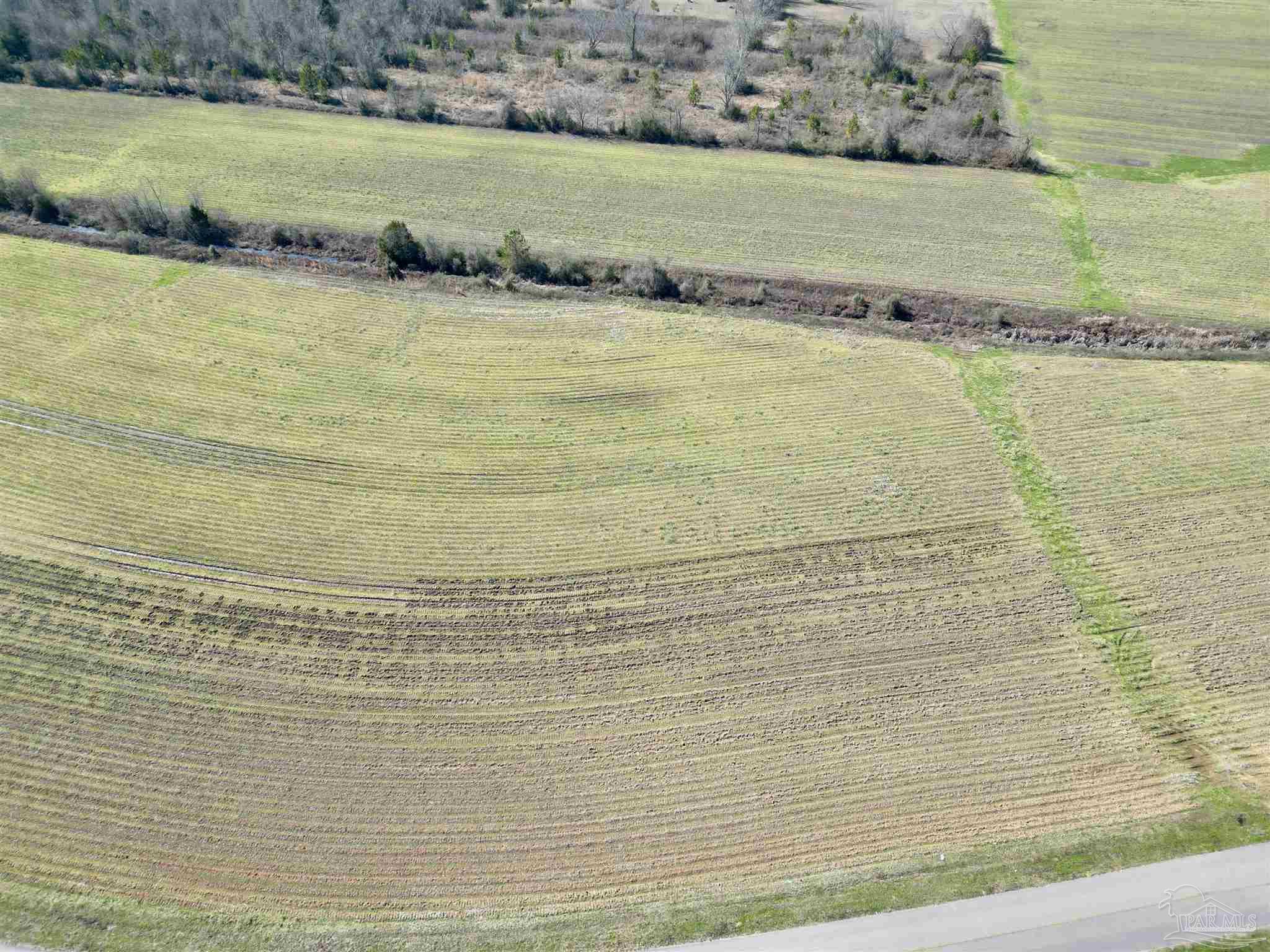 2 Cowpen Creek Road Atmore, AL 36502 - Photo 10 of 14