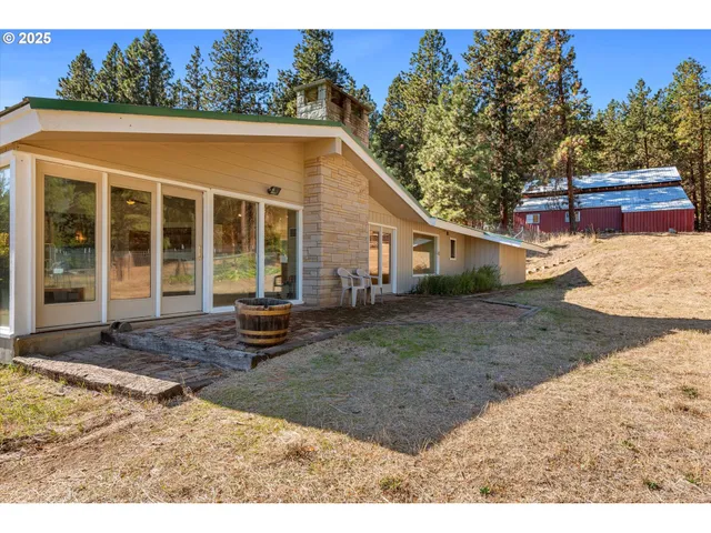 a view of large tree next to a road
