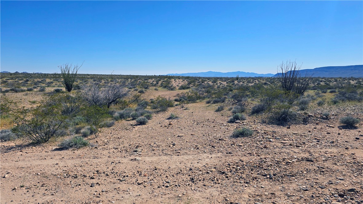 208-21-166 South Akchin Road Yucca, AZ 86438 - Photo 14 of 16 a view of a road with a yard