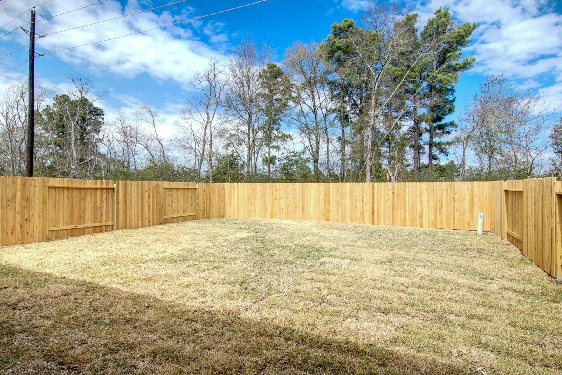 2311 Kolby Way Houston, TX 77073 - Photo 3 of 14