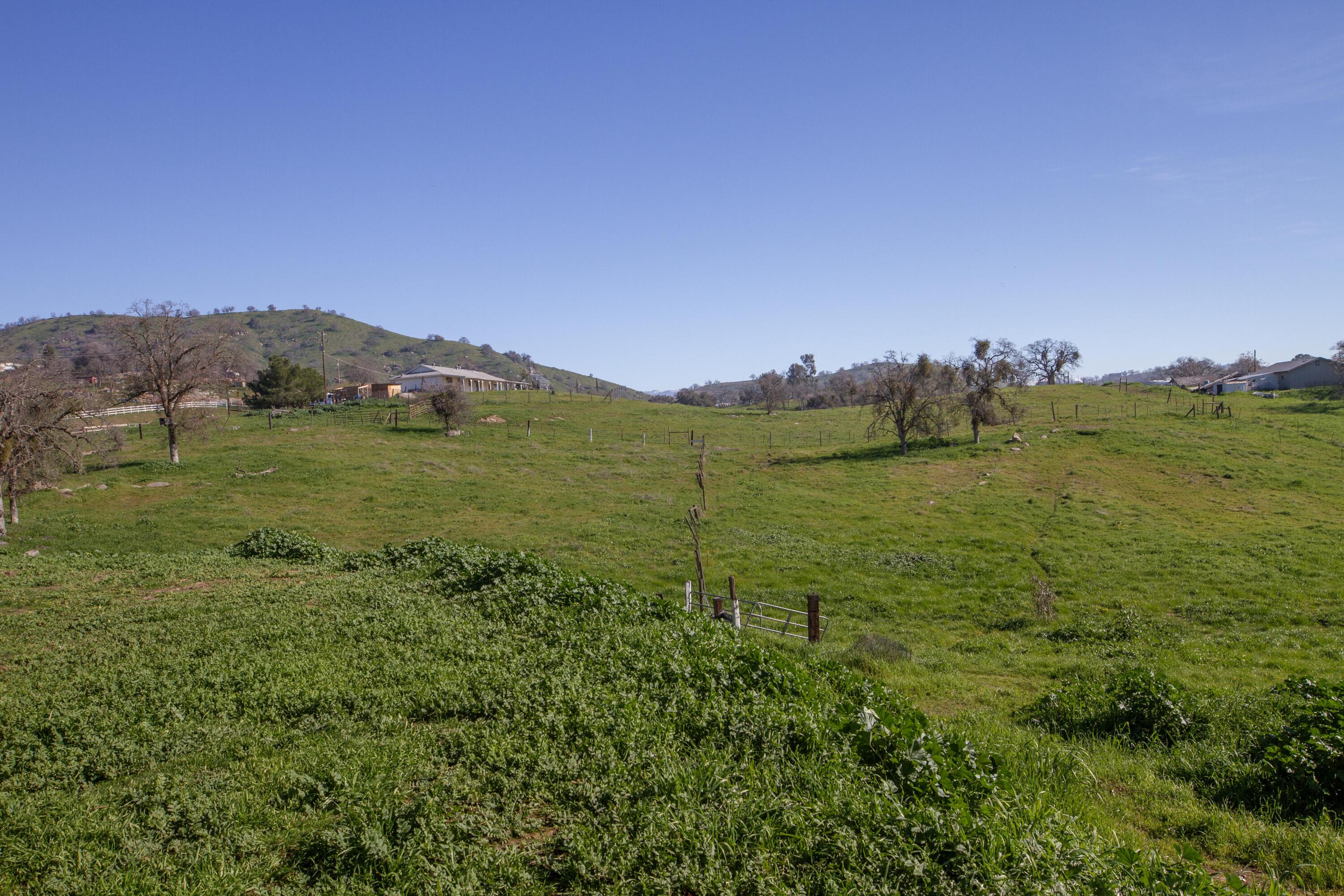 33379 George Smith Road Squaw Valley, CA 93675 - Photo 53 of 66 14