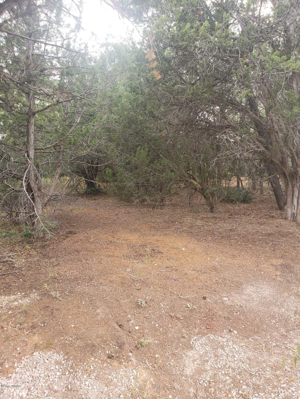 Lot 50 West Stratton Show Low, AZ 85901 - Photo 2 of 5