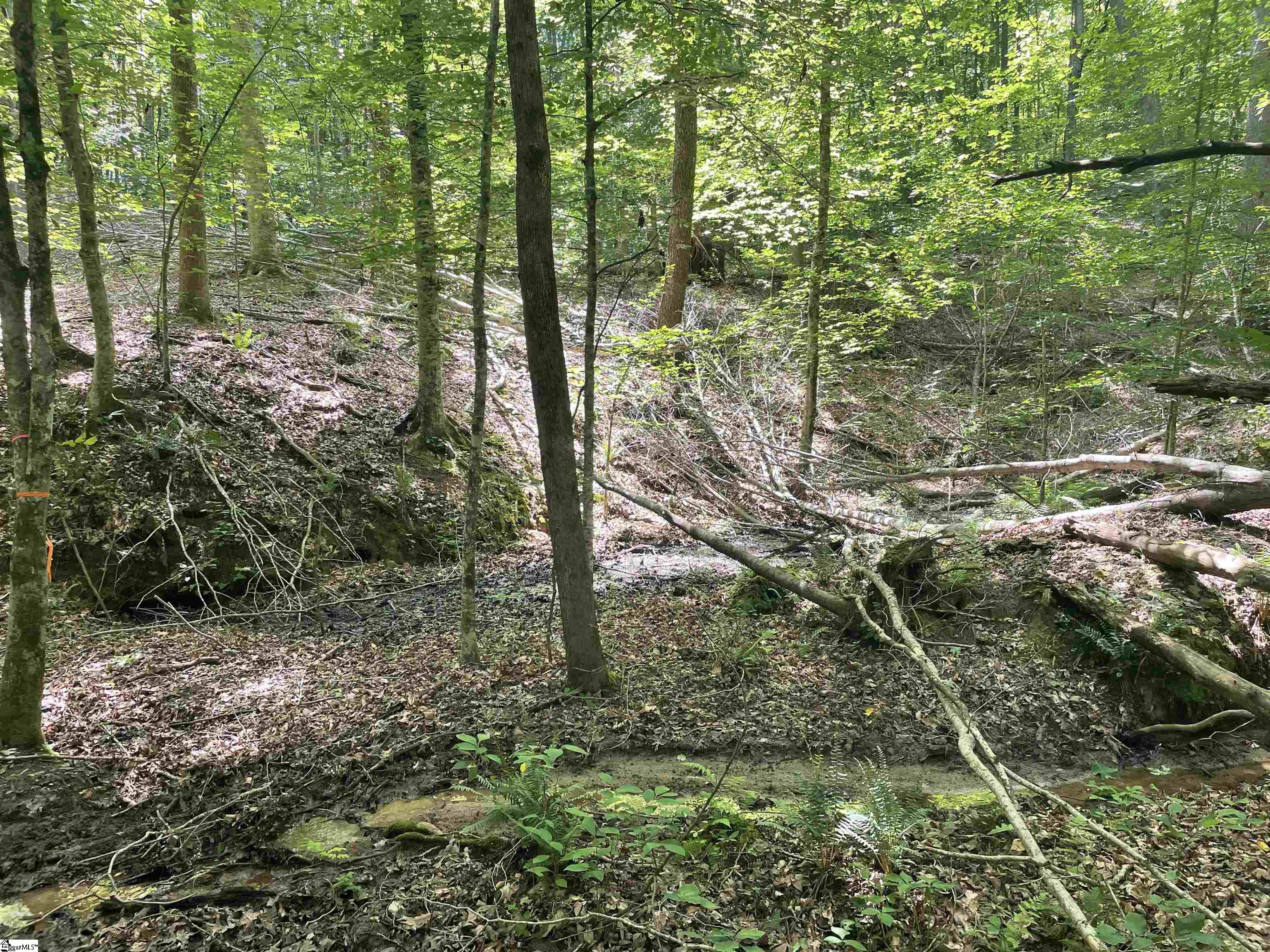0 Nimmons Bridge Road Salem, SC 29676 - Photo 11 of 27