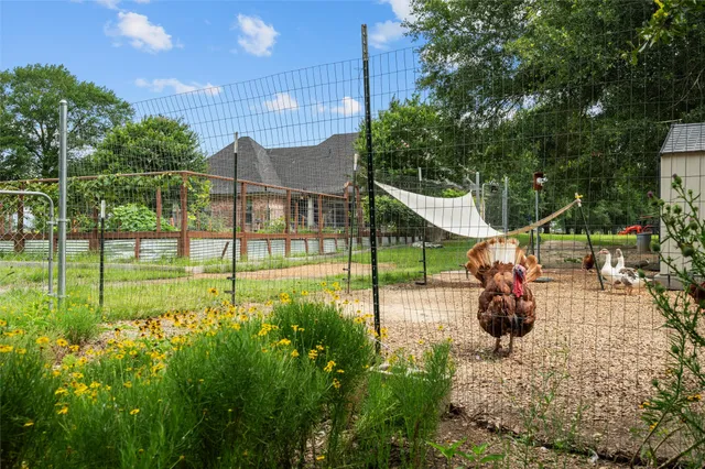 a fire hydrant in the middle of a field