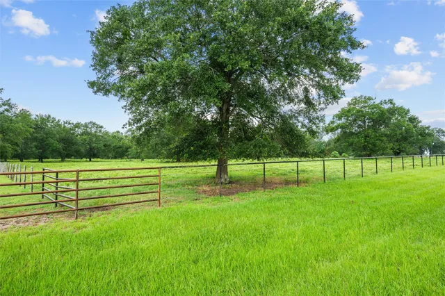 a view of yard with green space and trees