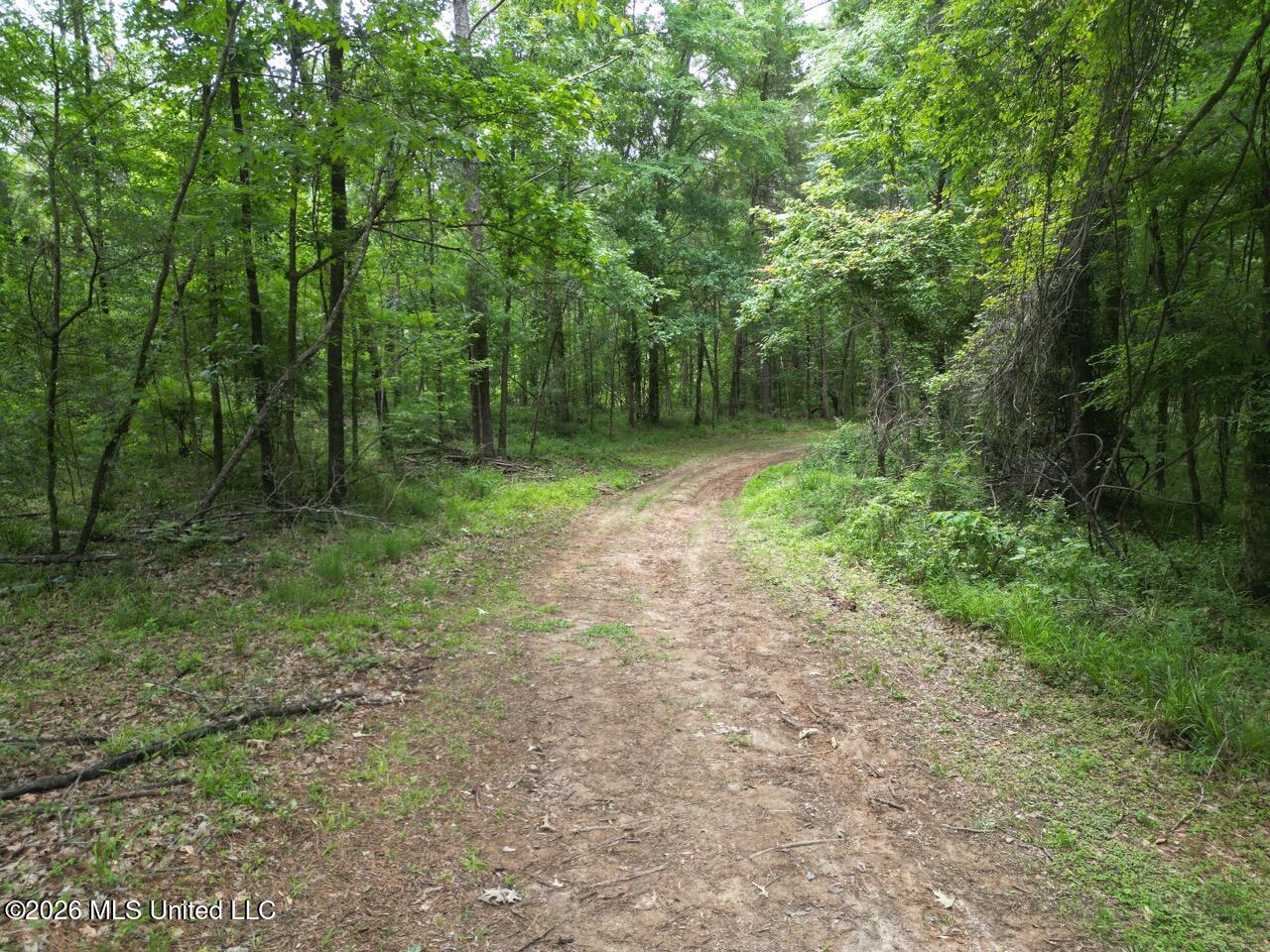 2986 Oldenburg Road Meadville, MS 39653 - Photo 22 of 44 DJI_0412 Large