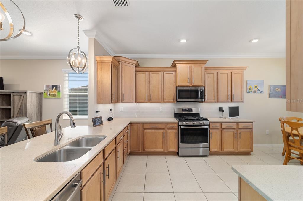 8862 Southwest 103rd Place Ocala, FL 34481 - Photo 24 of 66