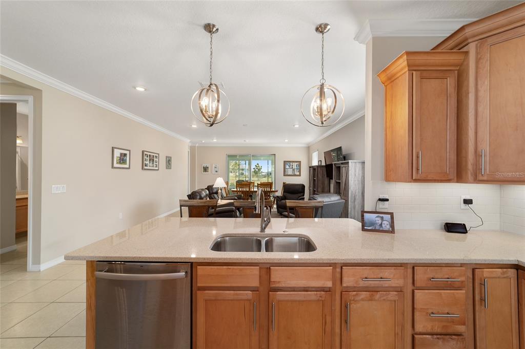 8862 Southwest 103rd Place Ocala, FL 34481 - Photo 29 of 66