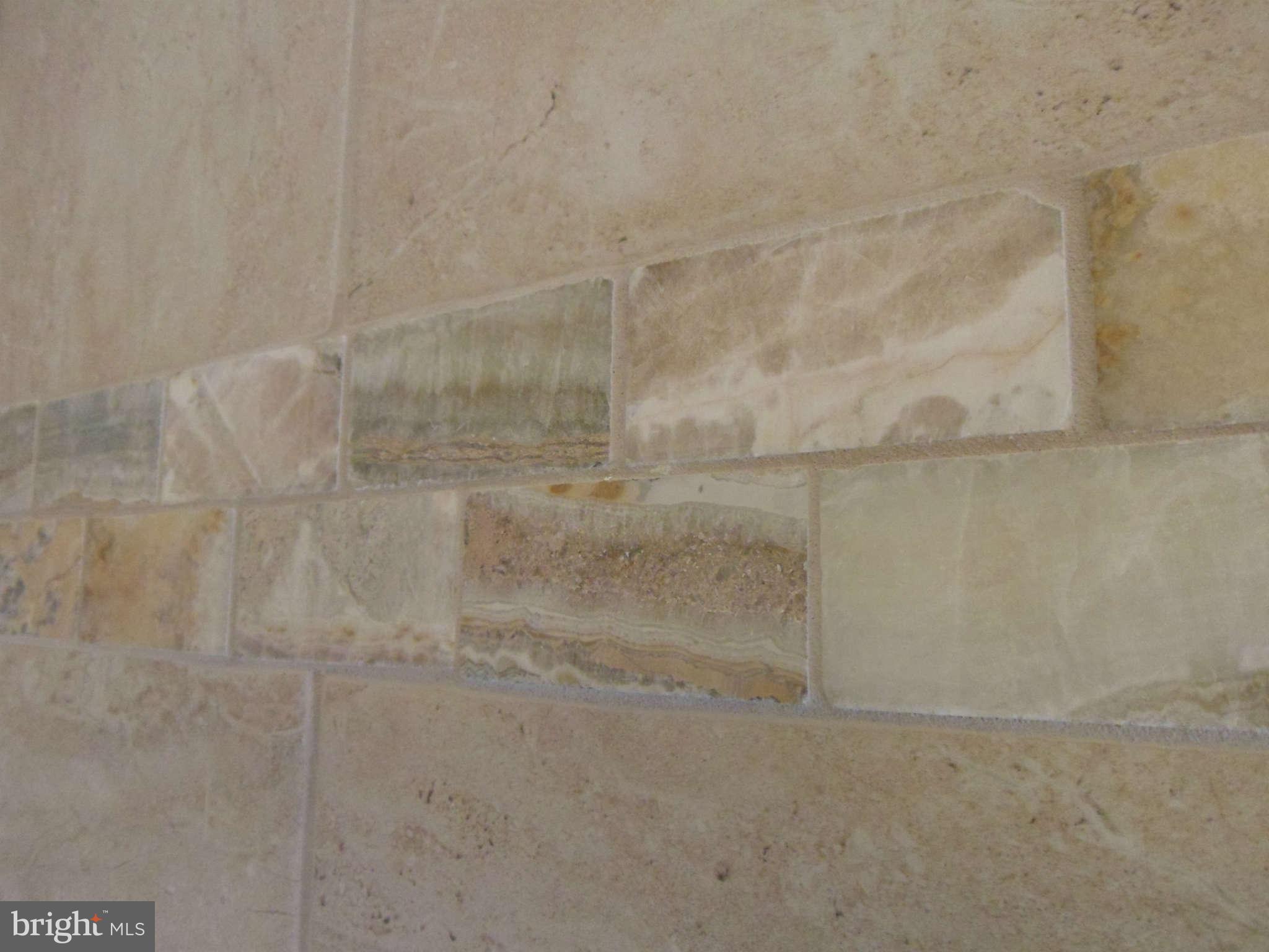 8415 Brock Bridge Road Laurel, MD 20724 - Photo 16 of 30 Onyx Trim Inside Bath