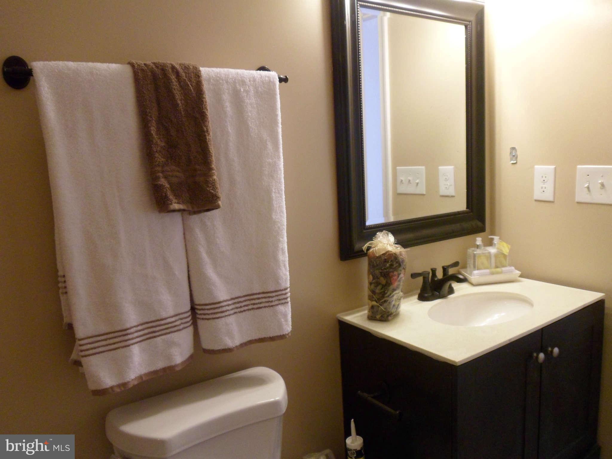 8415 Brock Bridge Road Laurel, MD 20724 - Photo 20 of 30 Bath