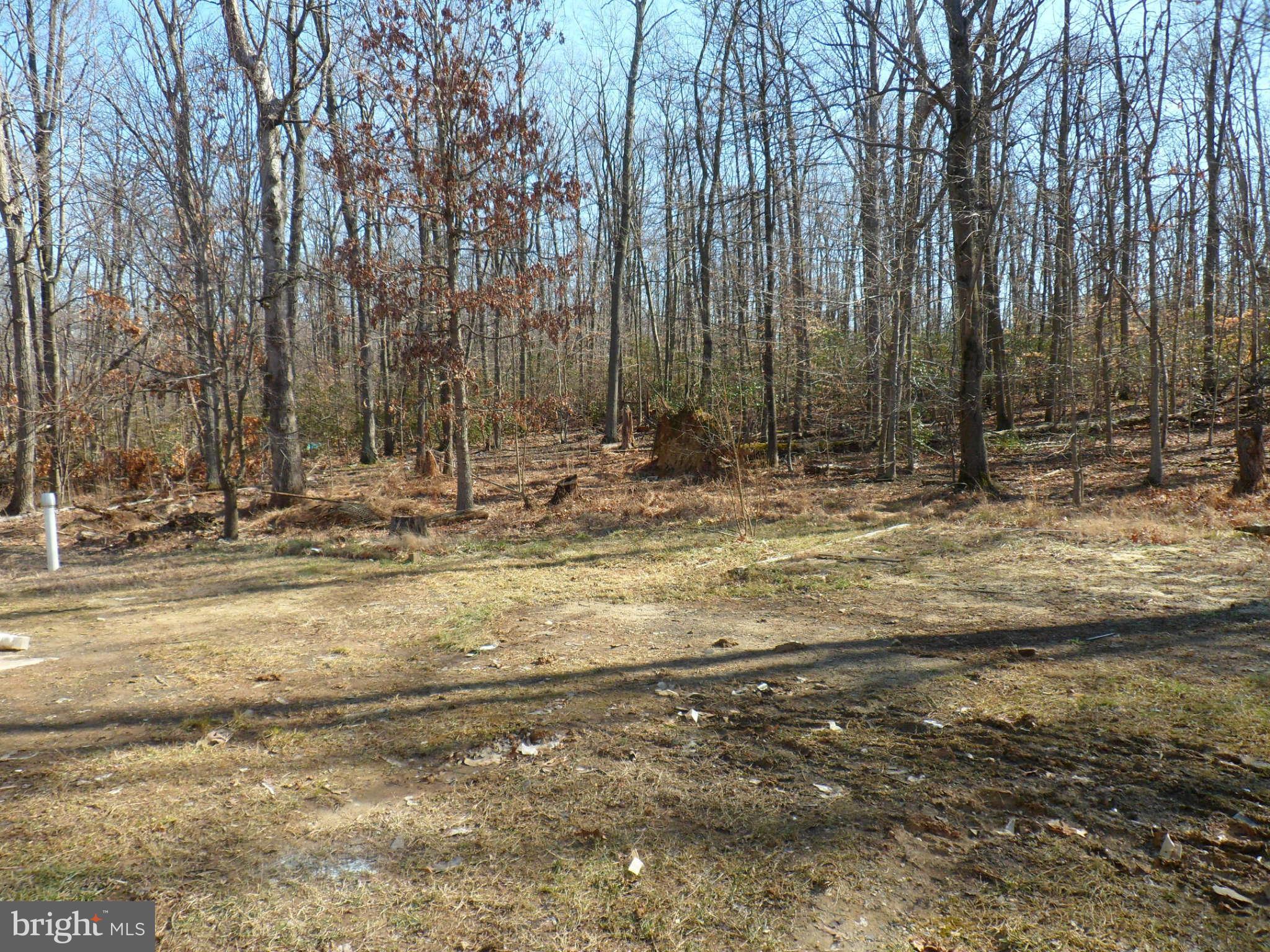 8415 Brock Bridge Road Laurel, MD 20724 - Photo 29 of 30 View