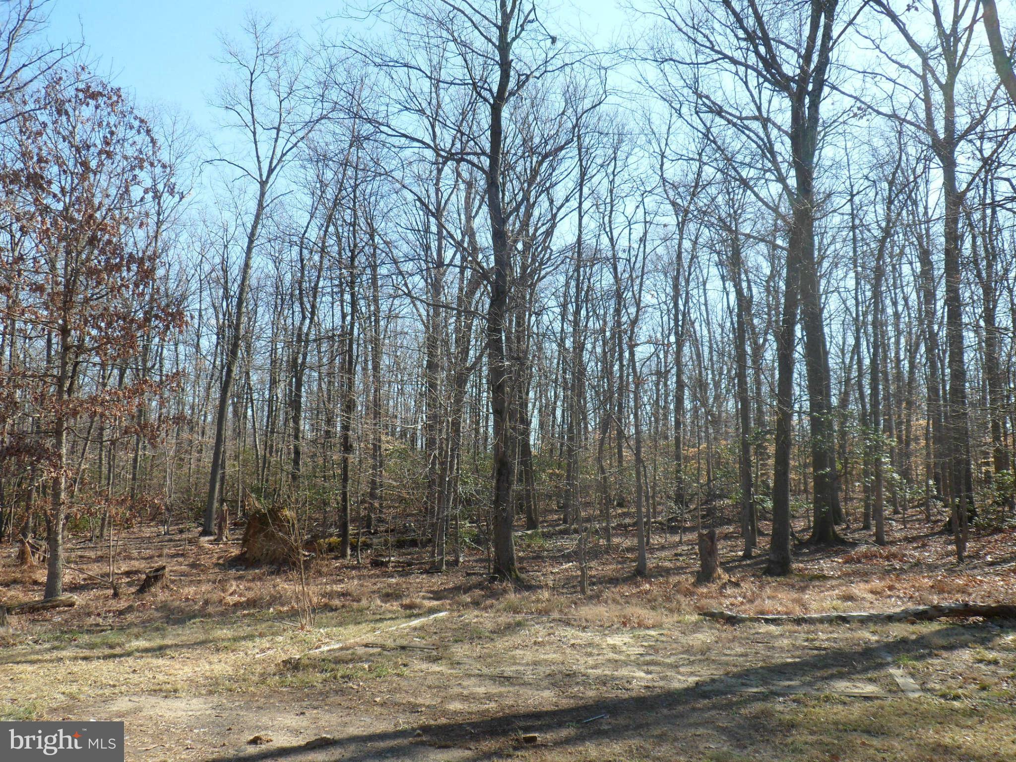 8415 Brock Bridge Road Laurel, MD 20724 - Photo 30 of 30 View