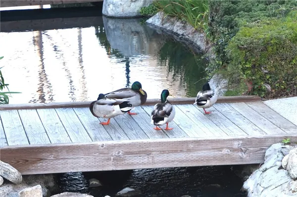 $3,000 | 16521 Grunion Lane, Huntington Beach, CA 92649