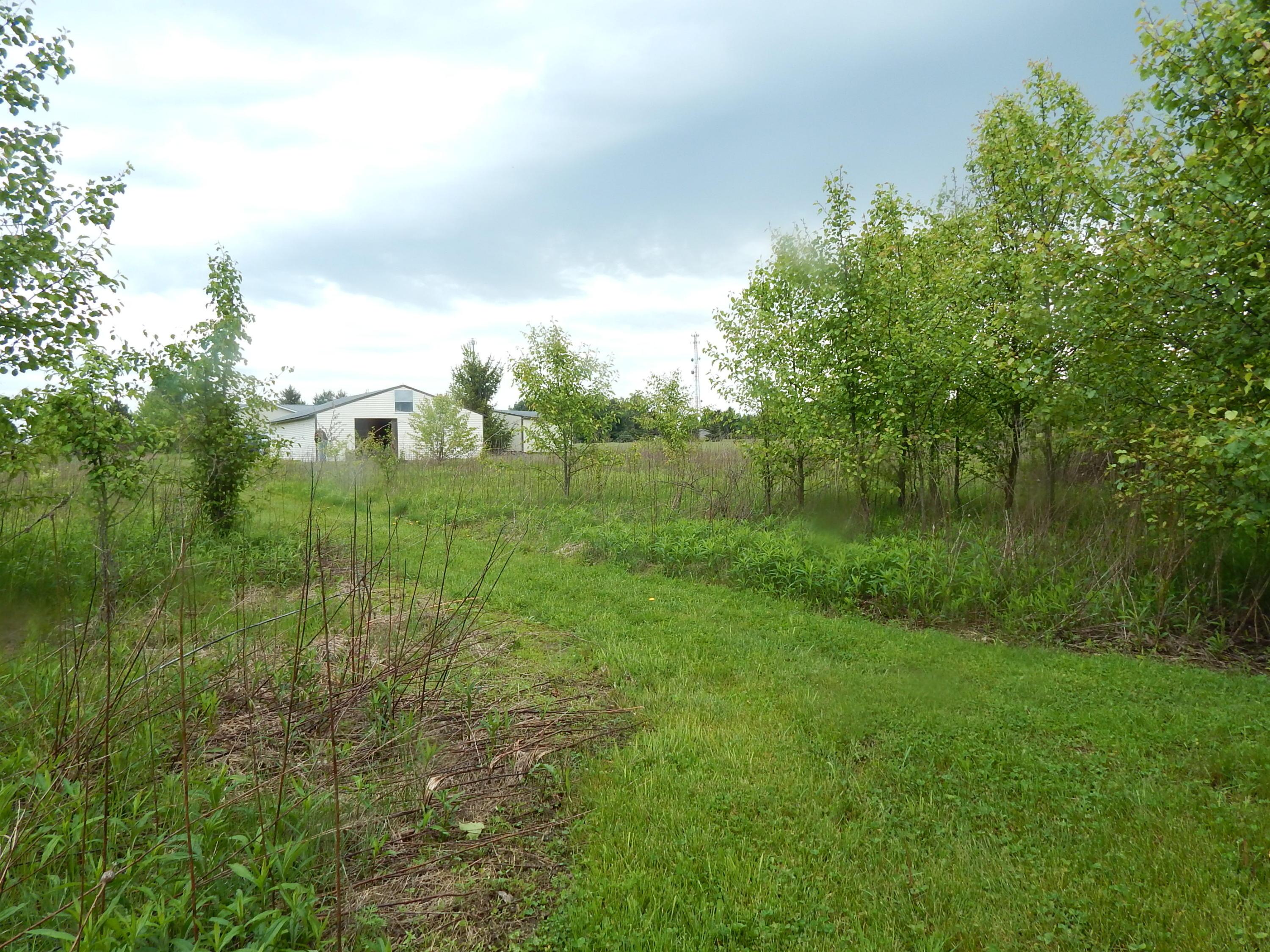 7175 Moore Road Delaware, OH 43015 - Photo 17 of 44