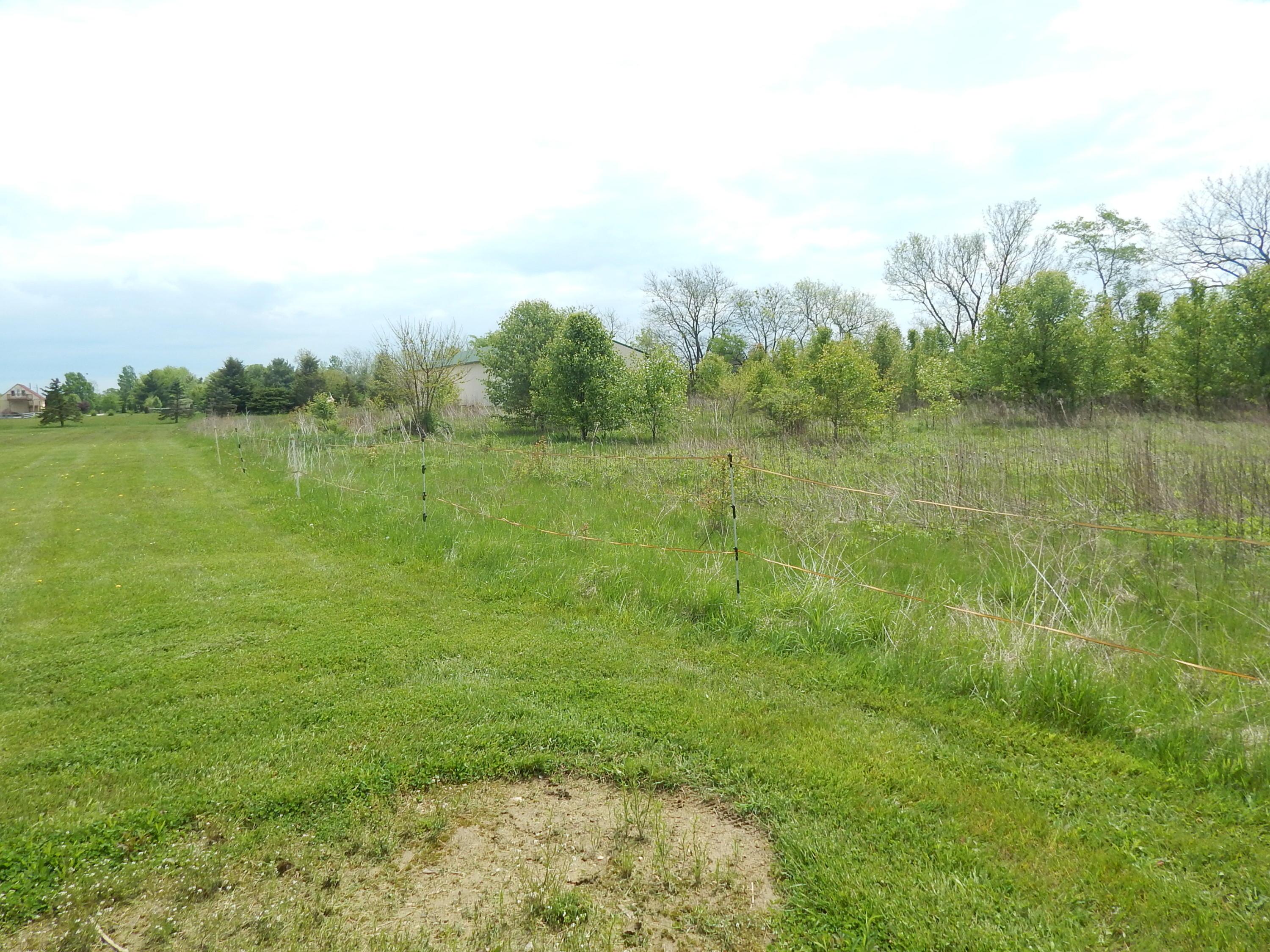 7175 Moore Road Delaware, OH 43015 - Photo 38 of 44