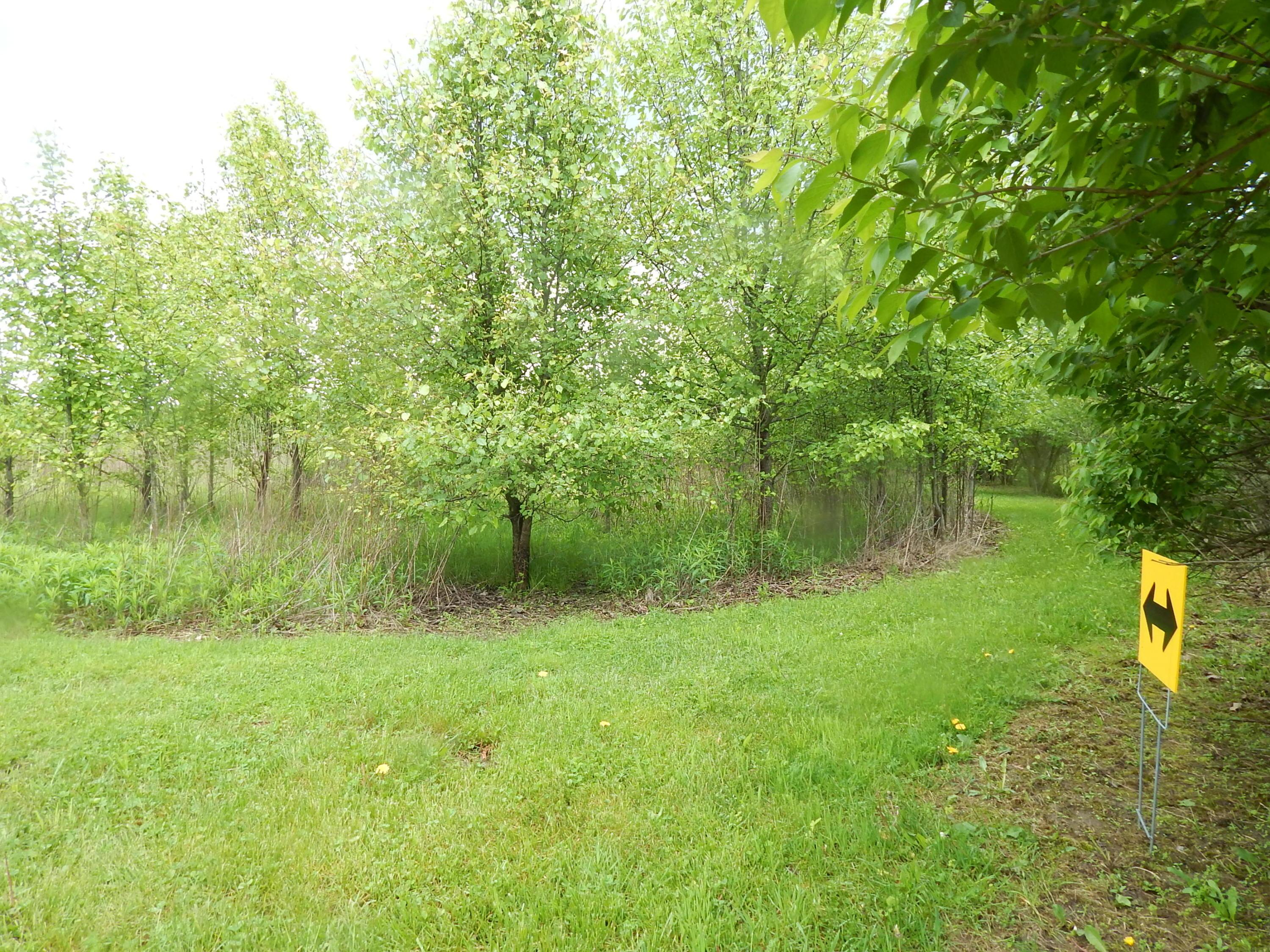 7175 Moore Road Delaware, OH 43015 - Photo 4 of 44