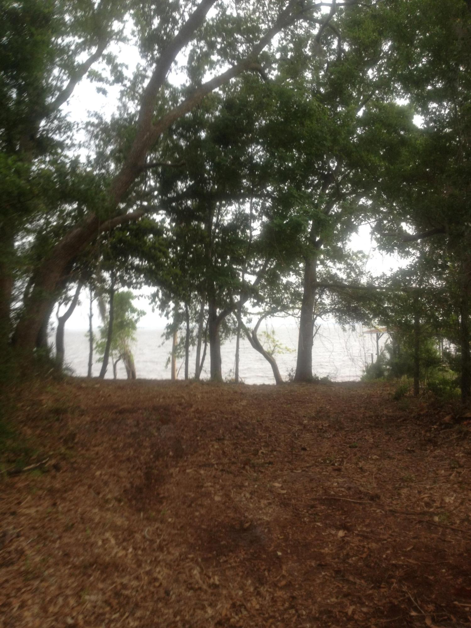 2 Acre /- Red Barn Road Freeport, FL 32439 - Photo 5 of 6 Gallery Image 5