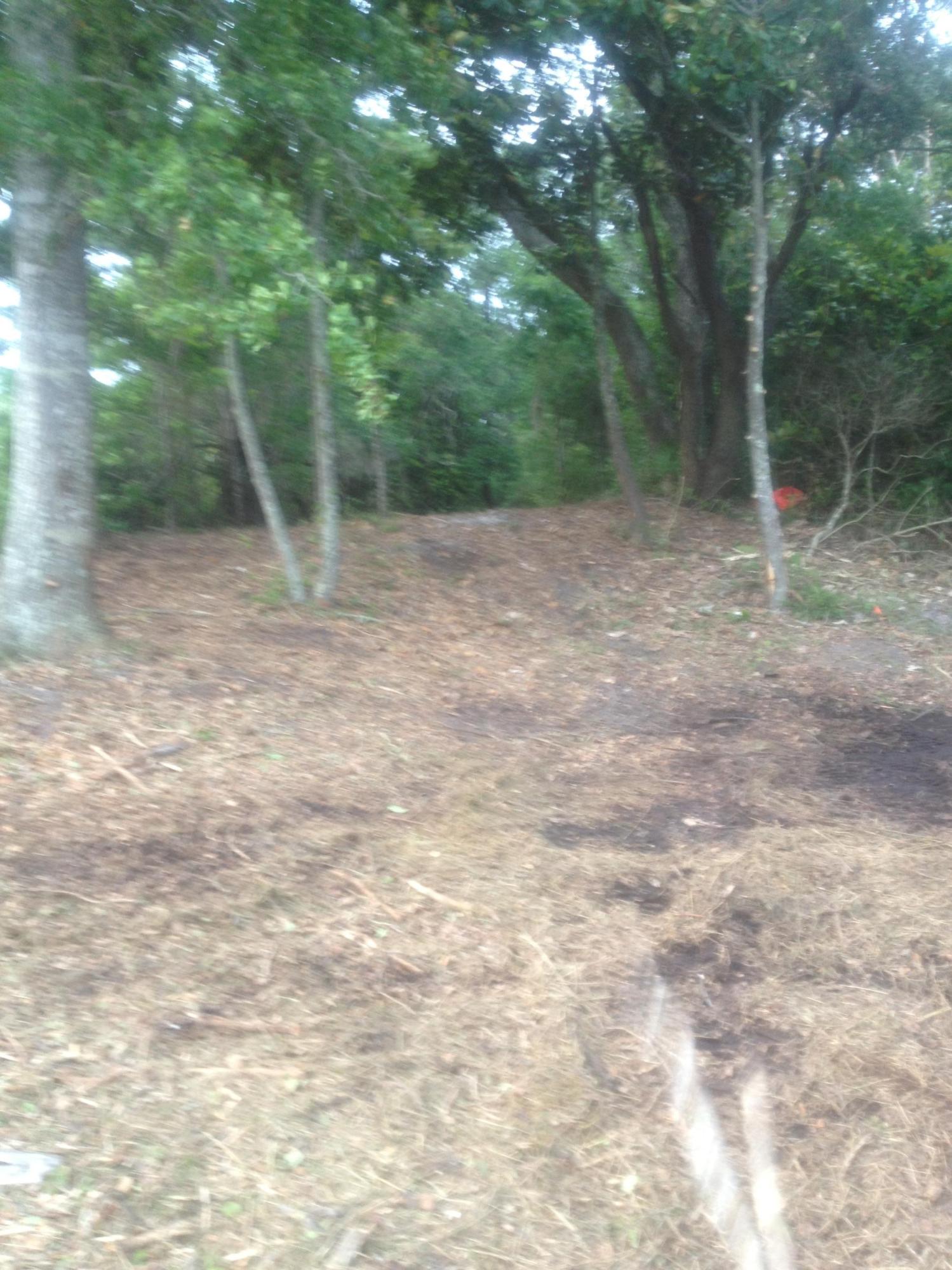 2 Acre /- Red Barn Road Freeport, FL 32439 - Photo 6 of 6 Gallery Image 6