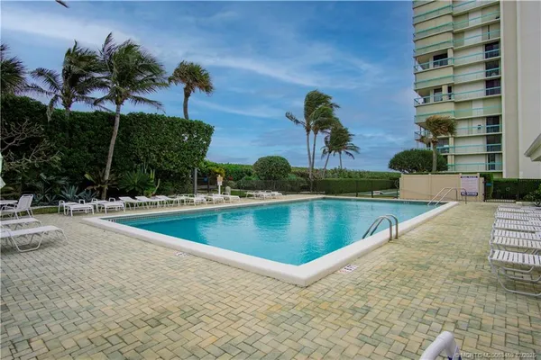a view of a swimming pool with a lawn chairs and palm tree