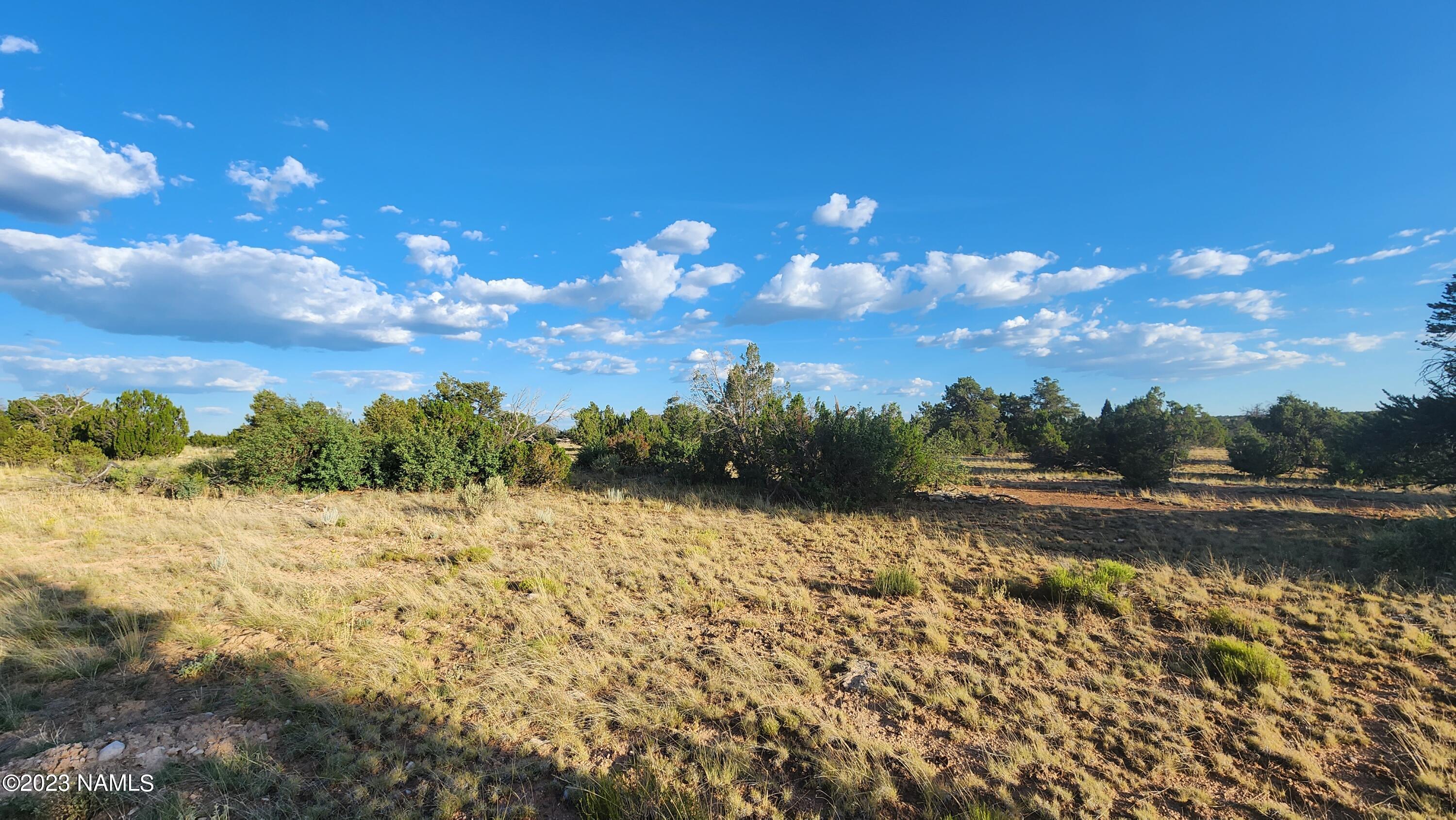 5854 South Estrella Road Williams, AZ 86046 - Photo 11 of 26 20230719_183511