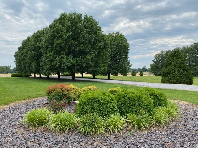 11426 East Radisson Road Mount Vernon, IL 62864 - Photo 52 of 56 a view of a park with large trees