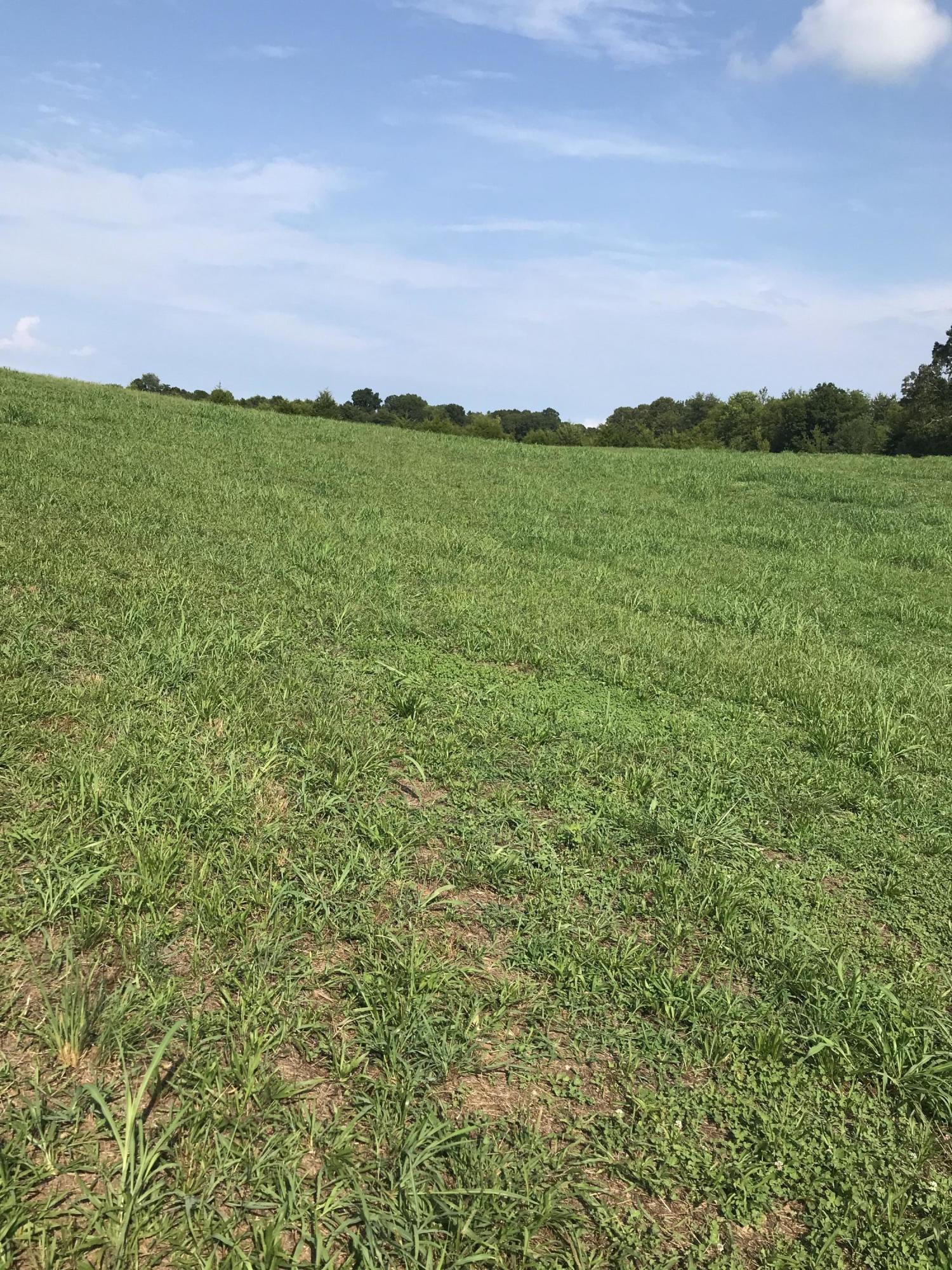 2 Lakeside Road Vonore, TN 37885 - Photo 2 of 12 IMG_1831