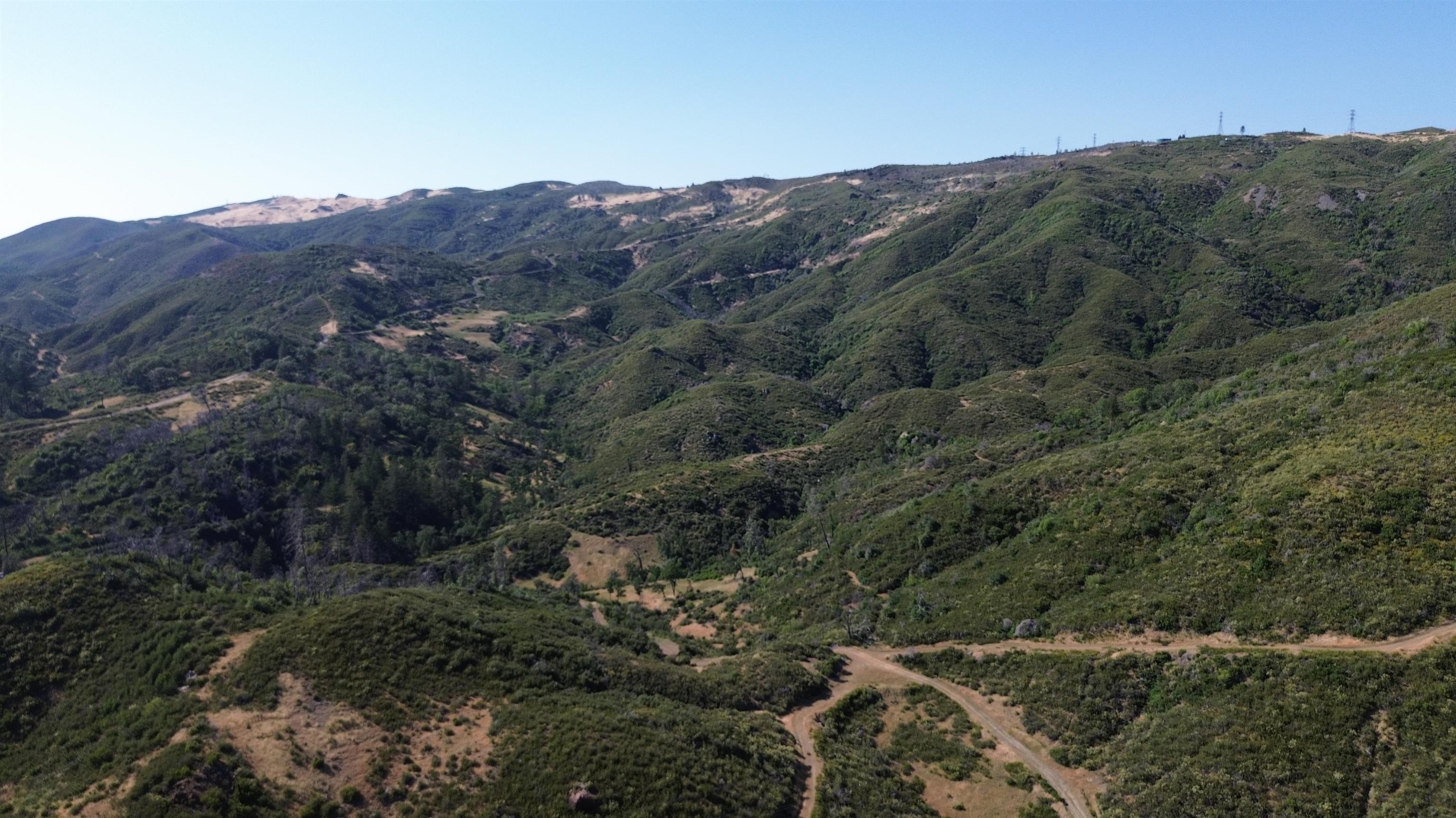 11311 Pine Flat Road Healdsburg, CA 95448 - Photo 17 of 45 a view of a forest with mountains in the background