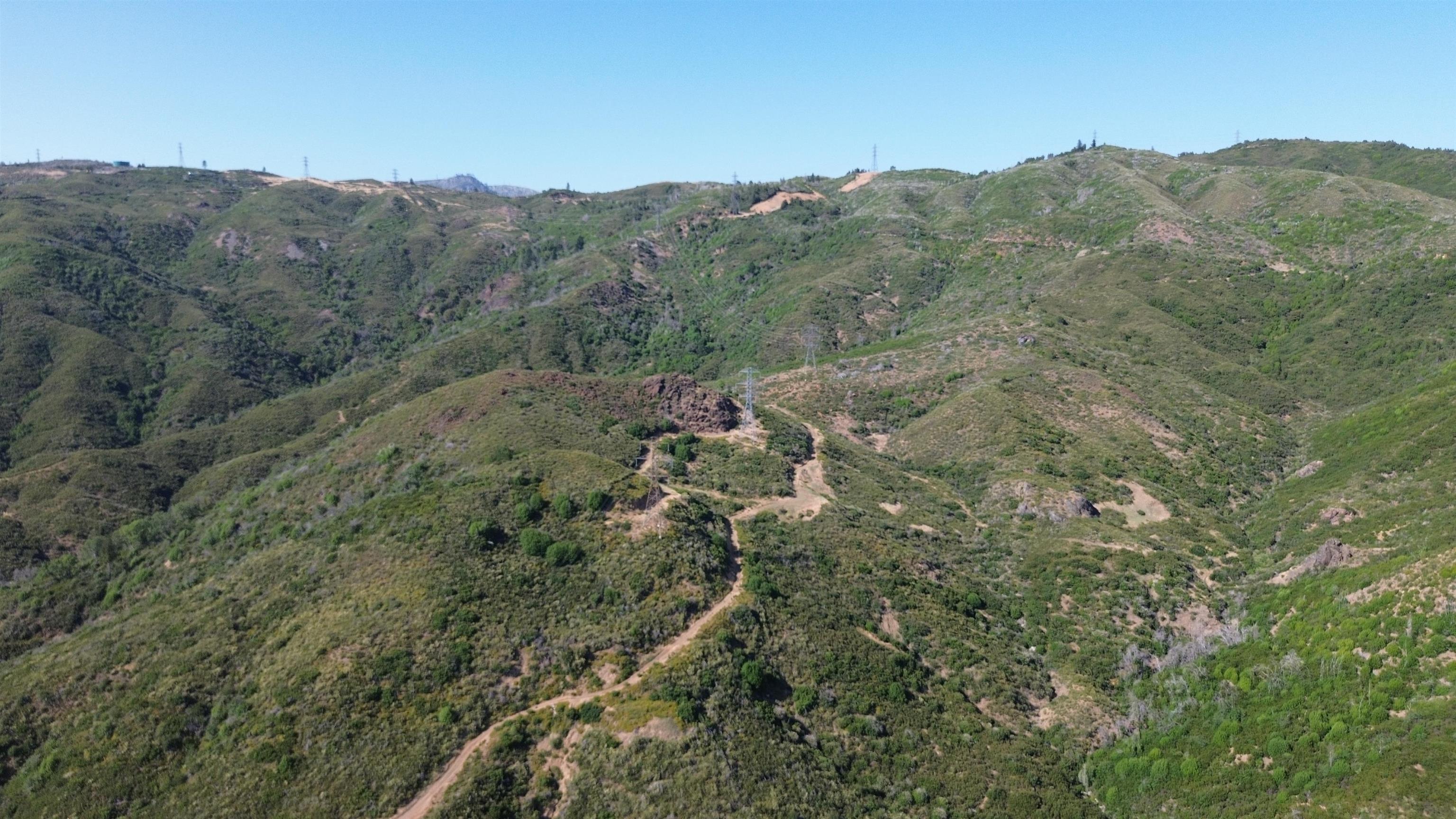 11311 Pine Flat Road Healdsburg, CA 95448 - Photo 19 of 45 a view of a forest with mountains in the background