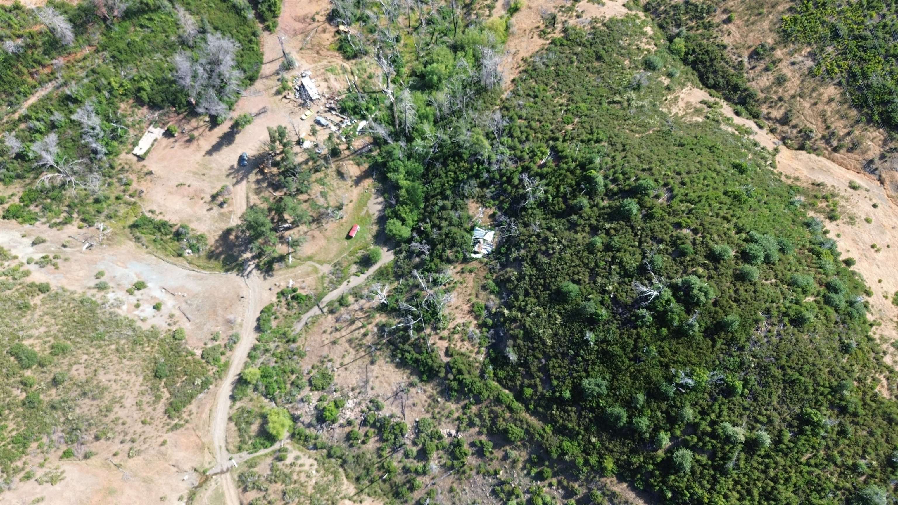 11311 Pine Flat Road Healdsburg, CA 95448 - Photo 21 of 45 a view of a forest with a tree
