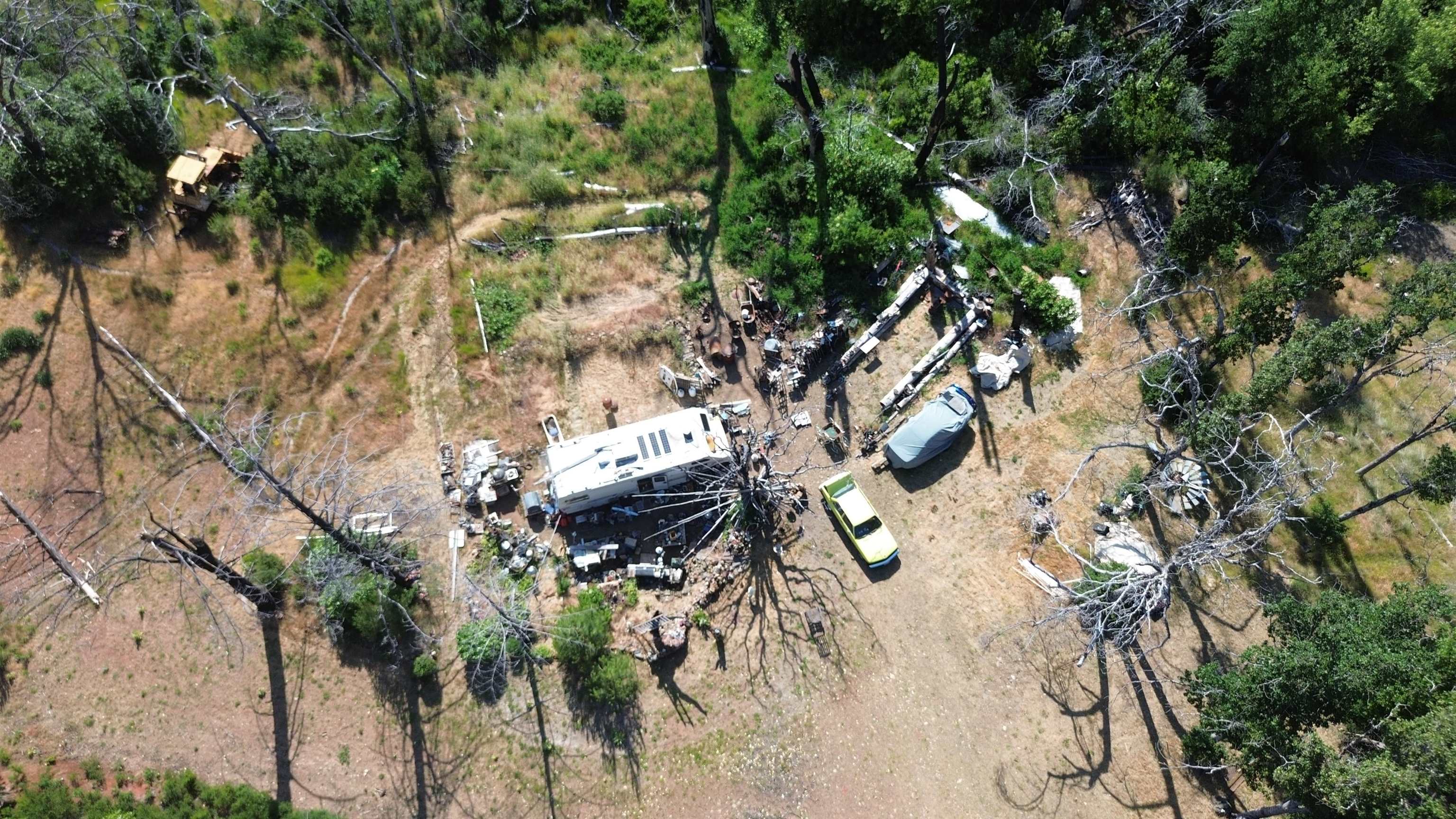 11311 Pine Flat Road Healdsburg, CA 95448 - Photo 29 of 45 a view of tree