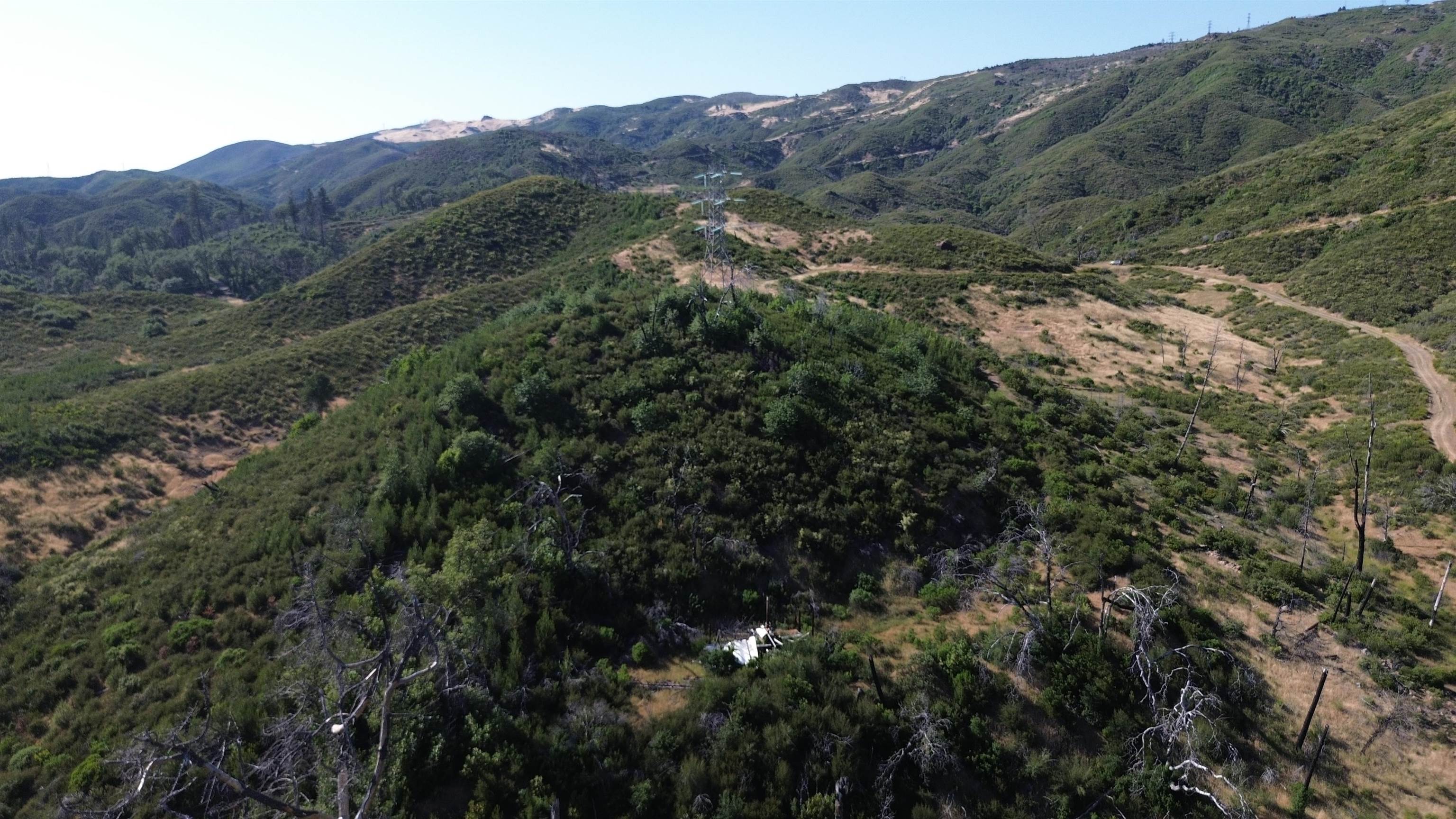 11311 Pine Flat Road Healdsburg, CA 95448 - Photo 31 of 45 a view of a forest with mountains in the background