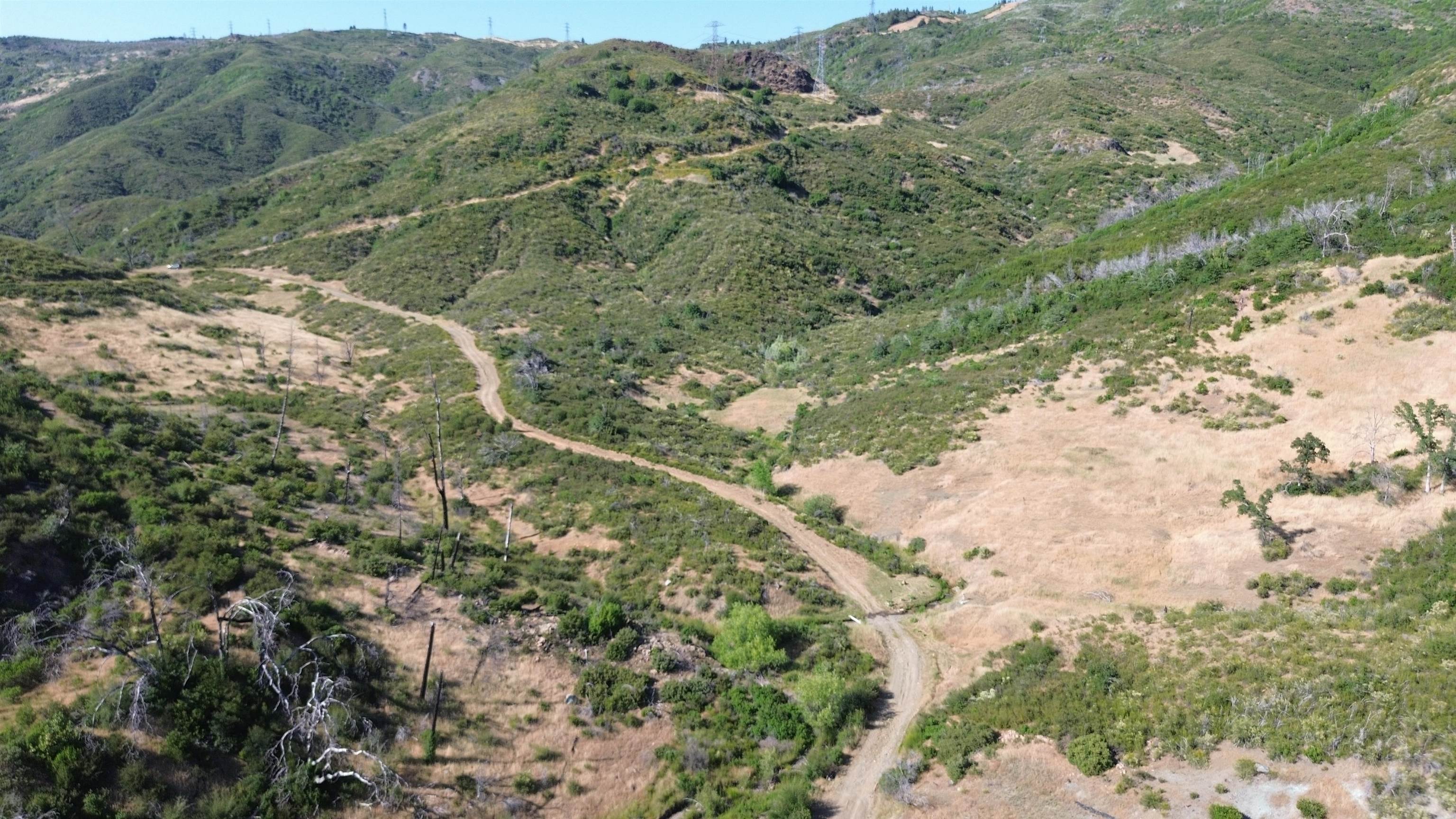 11311 Pine Flat Road Healdsburg, CA 95448 - Photo 32 of 45 a view of a forest with a forest