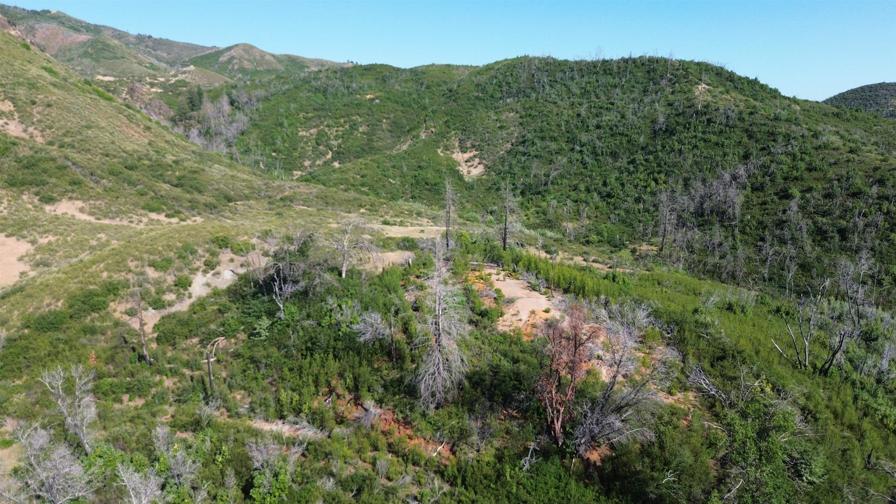 11311 Pine Flat Road Healdsburg, CA 95448 - Photo 33 of 45 a view of a forest with a mountain in the background