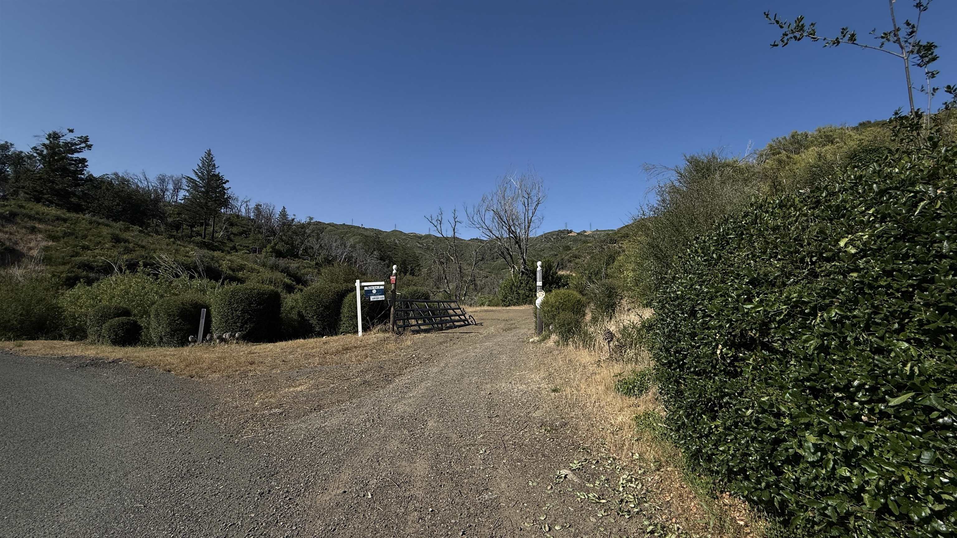 11311 Pine Flat Road Healdsburg, CA 95448 - Photo 41 of 45 a view of outdoor space and yard