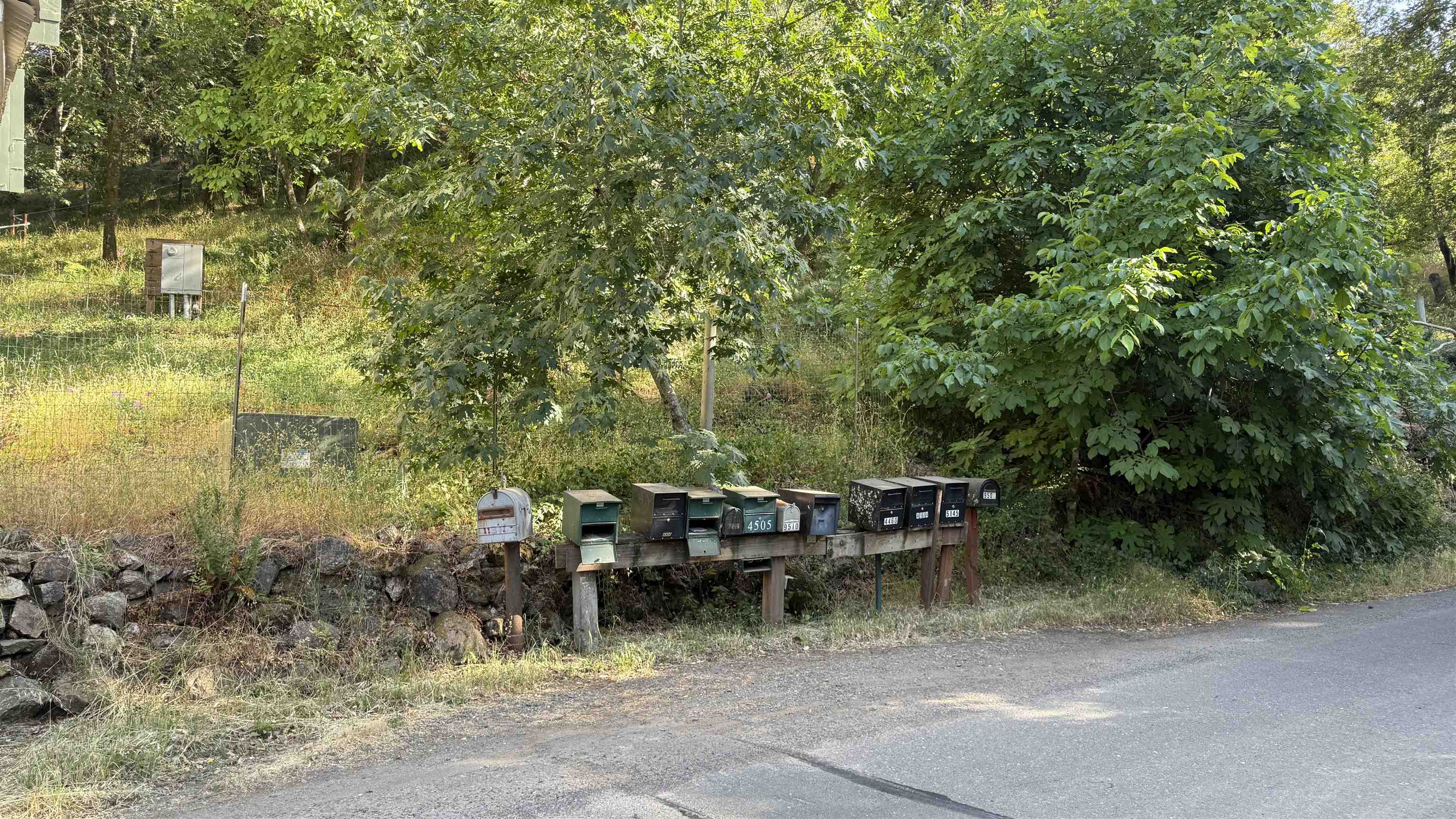 11311 Pine Flat Road Healdsburg, CA 95448 - Photo 43 of 45 a view of outdoor space yard and patio
