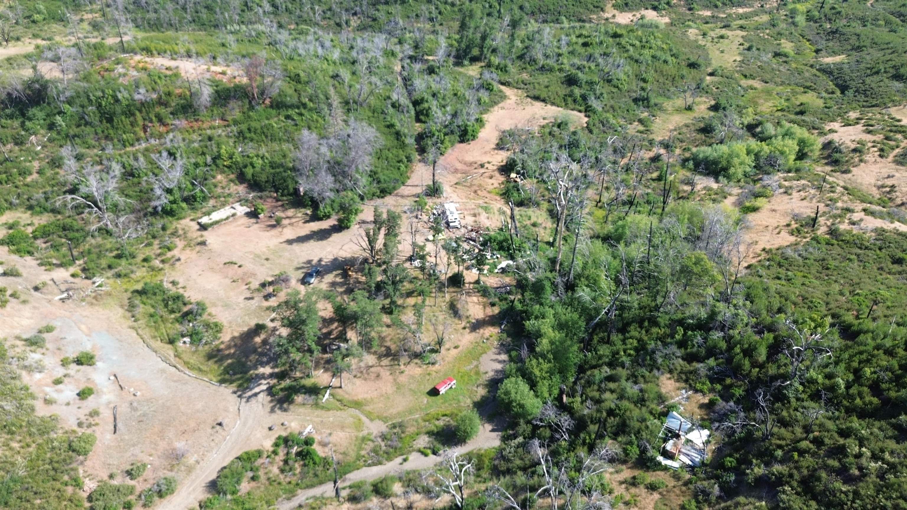 11311 Pine Flat Road Healdsburg, CA 95448 - Photo 10 of 45 a view of a yard with plants and tree