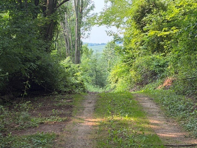 Maple Ridge Road Arcadia, NY 14513 - Photo 16 of 37