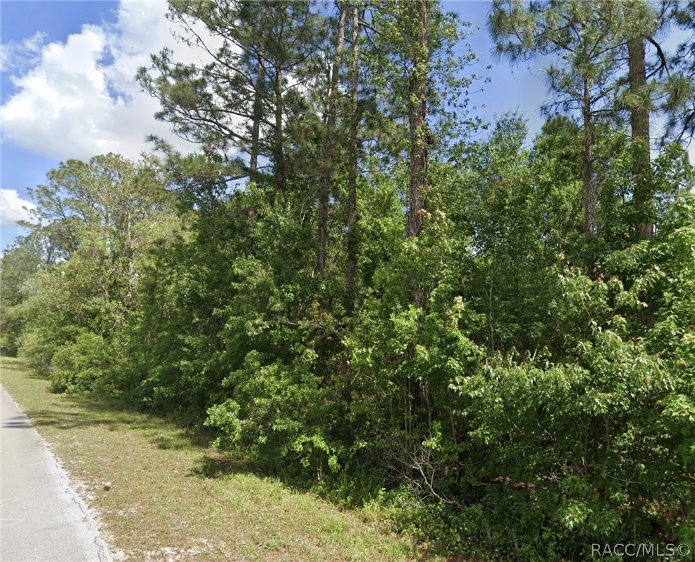 Tbd Oil Well Road Clermont, FL 34714 - Photo 3 of 5 Gallery Image 3