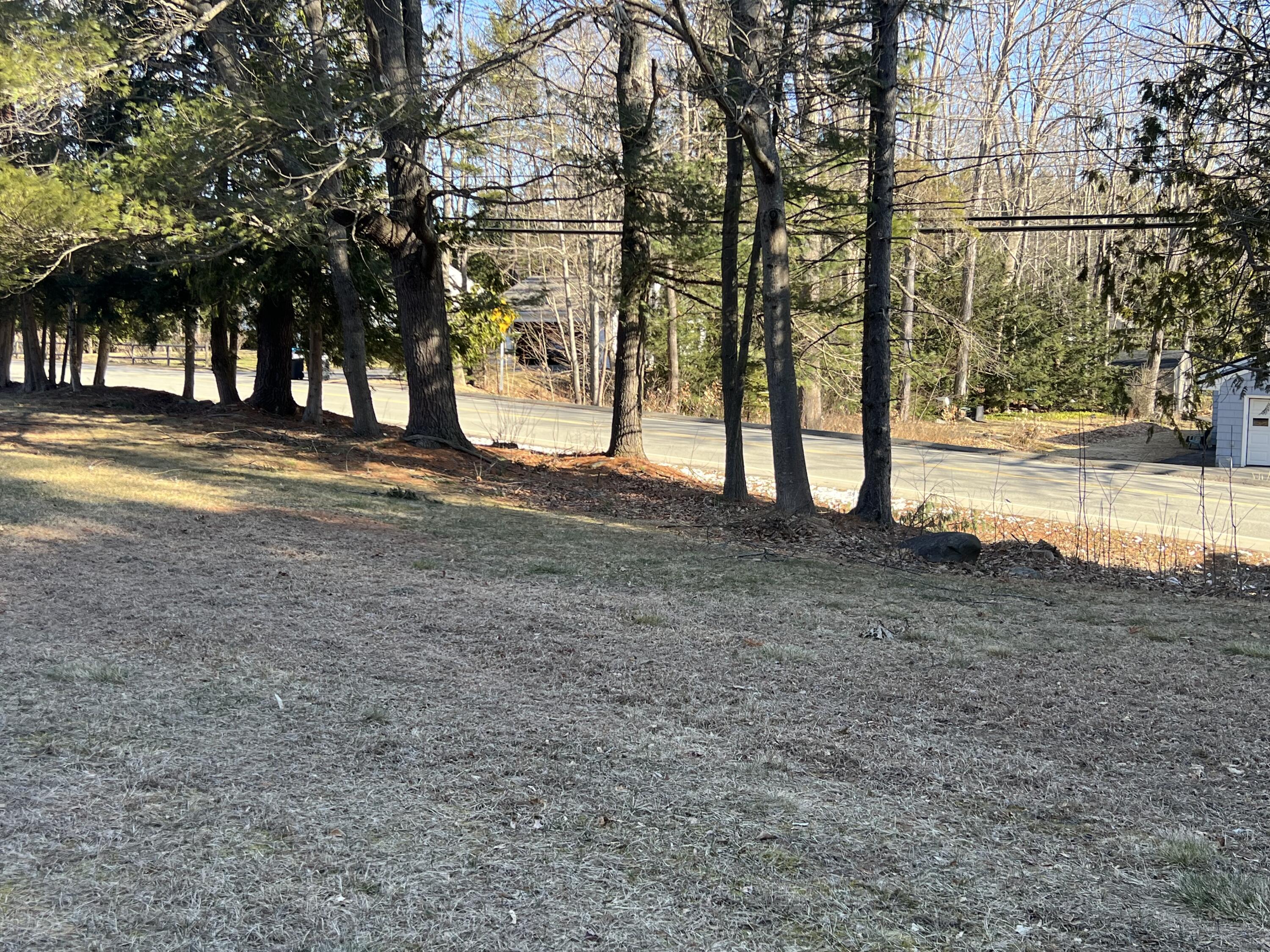 151 Forest Avenue Orono, ME 04473 - Photo 8 of 51 IMG_8631