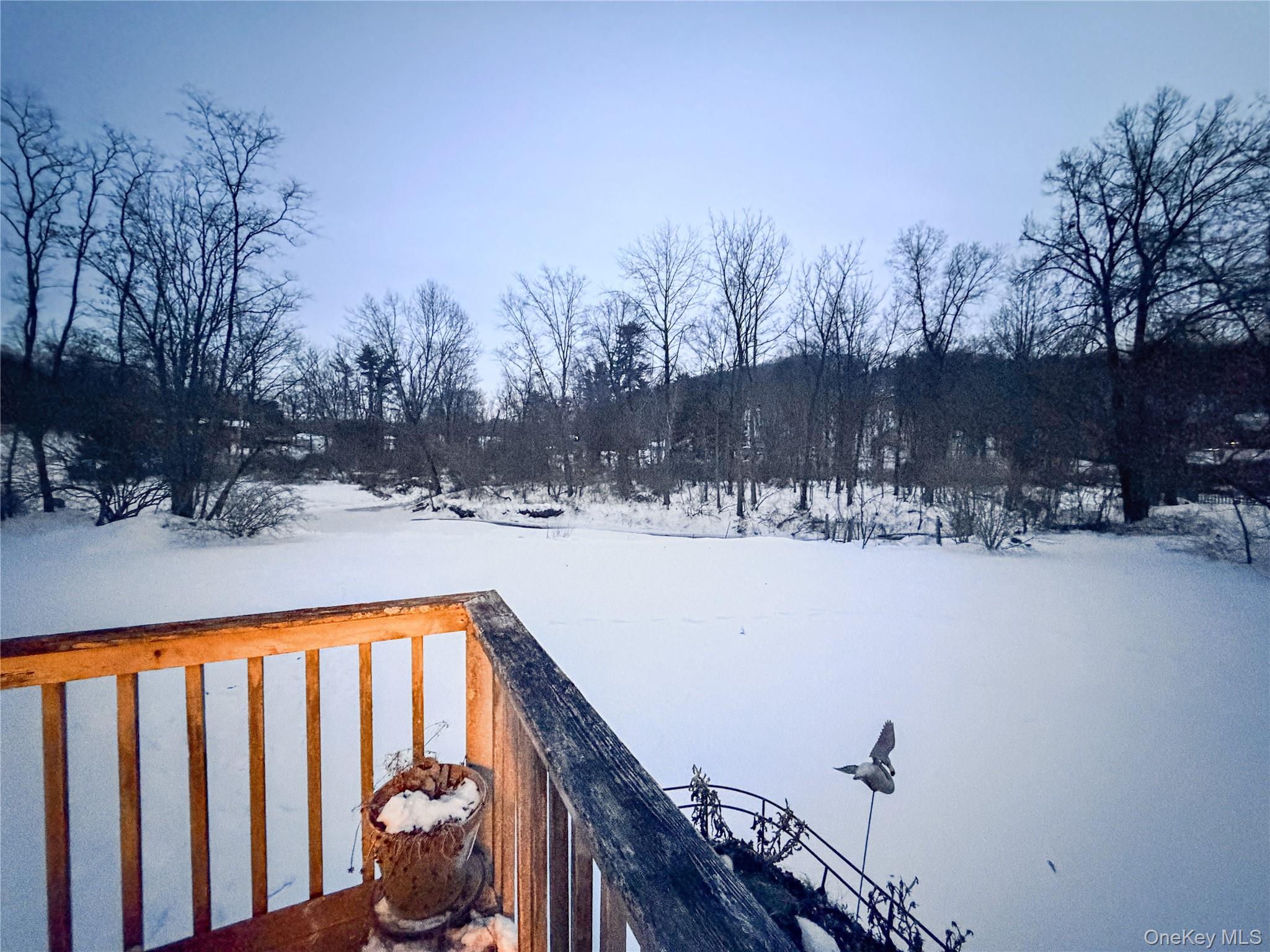 25 East Mountain Road South Cold Spring, NY 10516 - Photo 45 of 48 a view of swimming pool with trees in the background